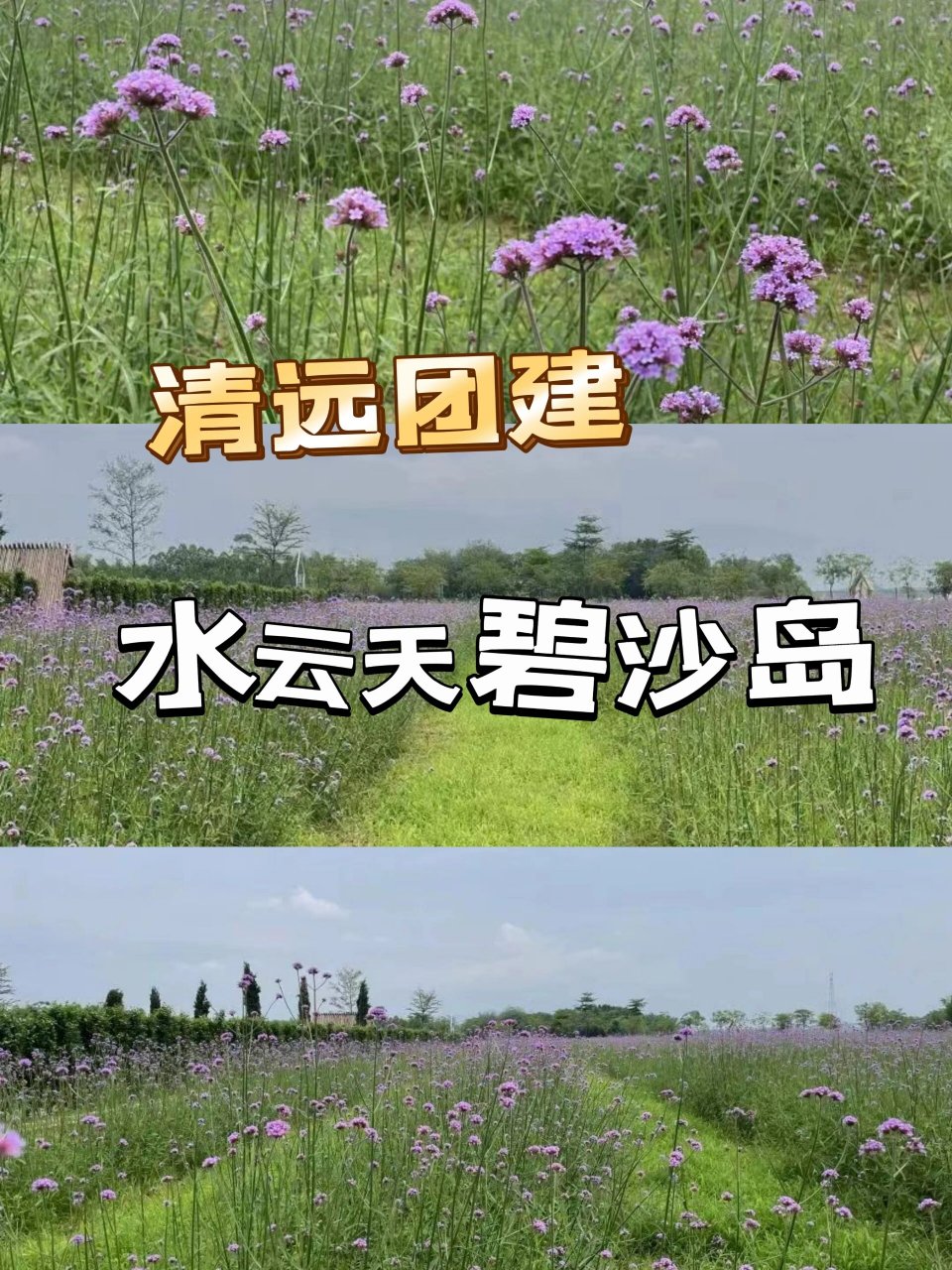 清远团建户外团建活动策划|水云天碧沙岛 水云天碧沙岛位于清远市清新