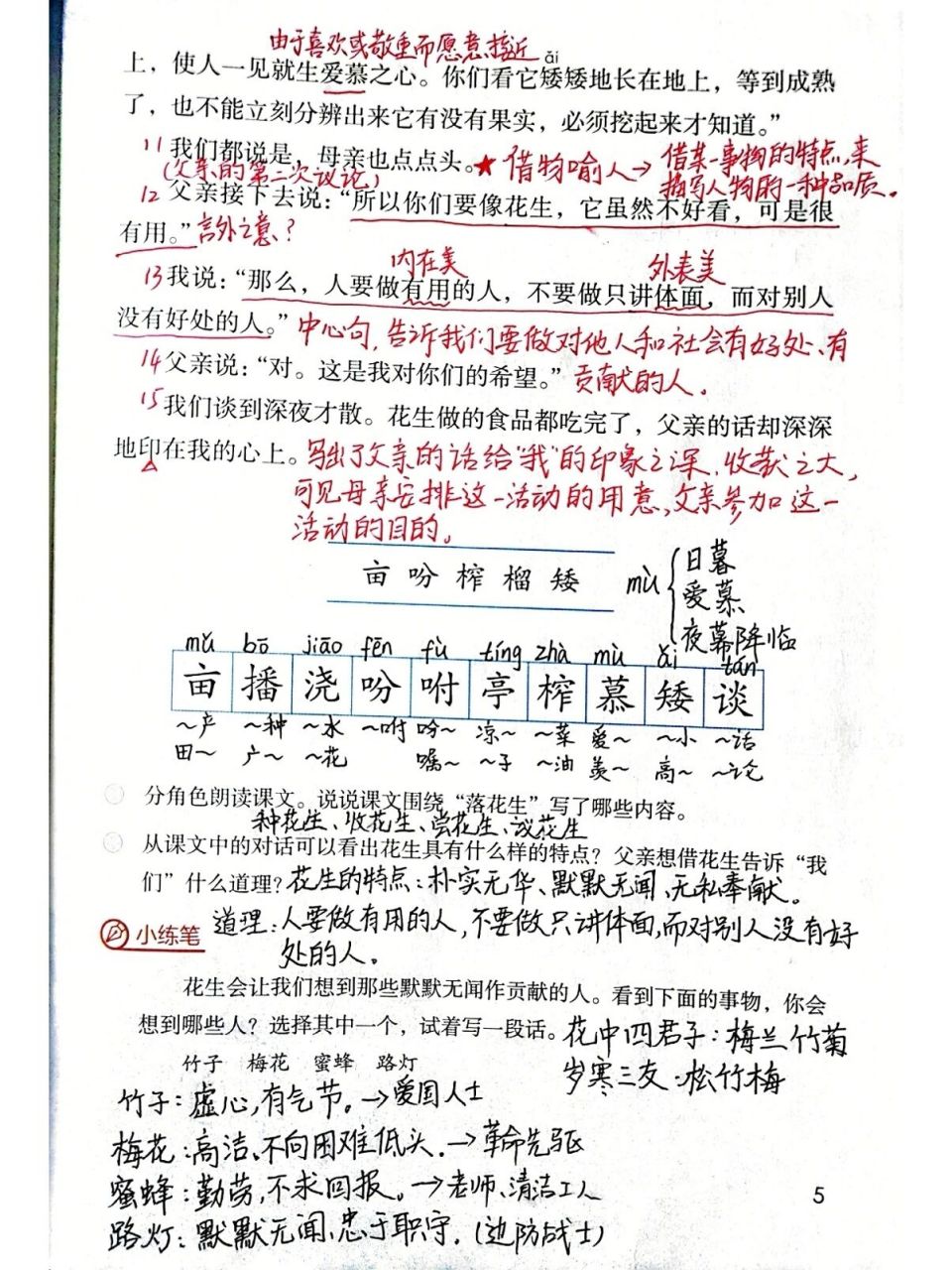 五年级上册语文第二课《落花生》课堂笔记