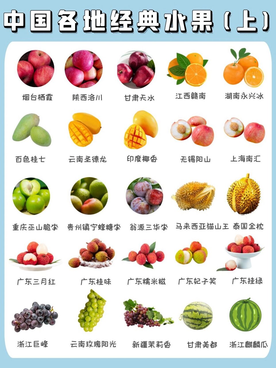 生活常识|水果品种图鉴96吃货必收藏(上) 各种各样的水果相信大家吃