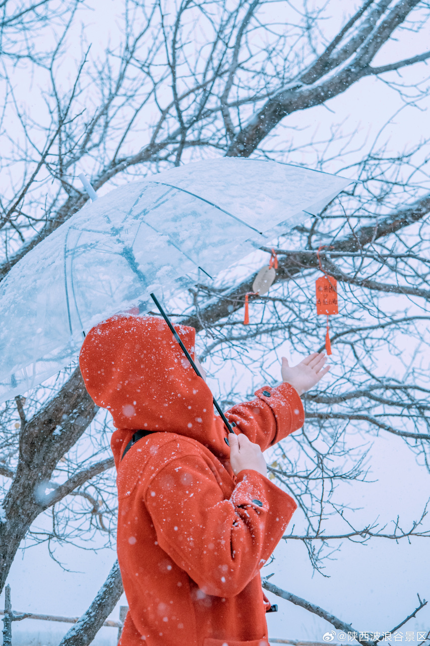 红衣配白雪,这也太有氛围感了吧!#波浪谷##带着微博去旅行