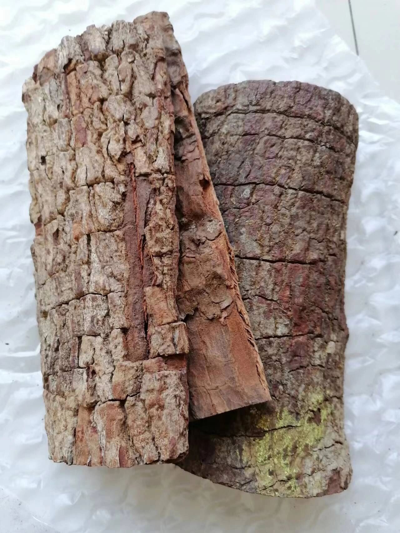 非洲安哥拉卡宾达树皮 卡宾达老树皮,效果显著卡宾达树皮用法:166