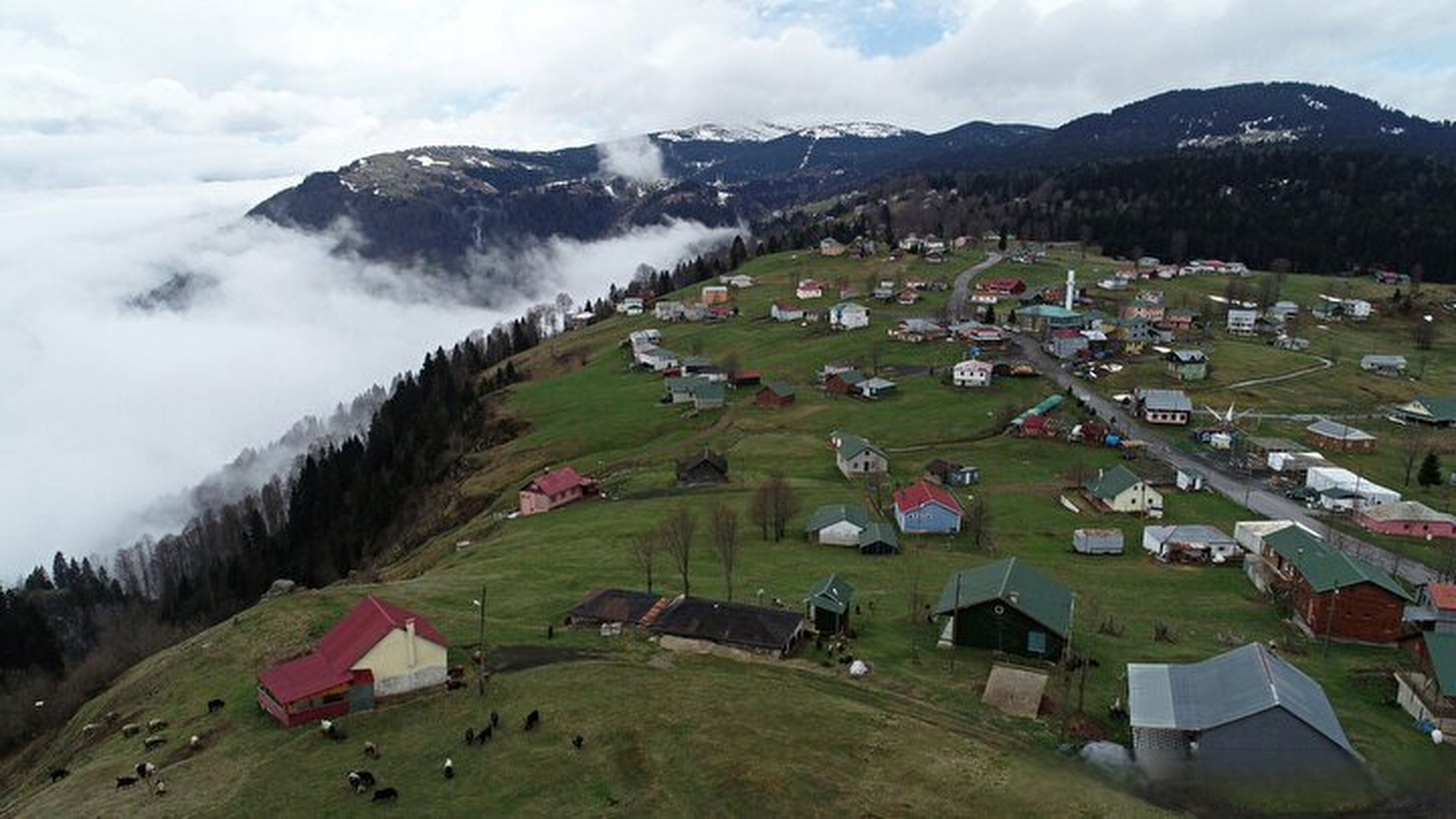 【#土耳其镜头#: 云端的邻居,特拉布宗的赫德尔内比高原】 阿卡巴特
