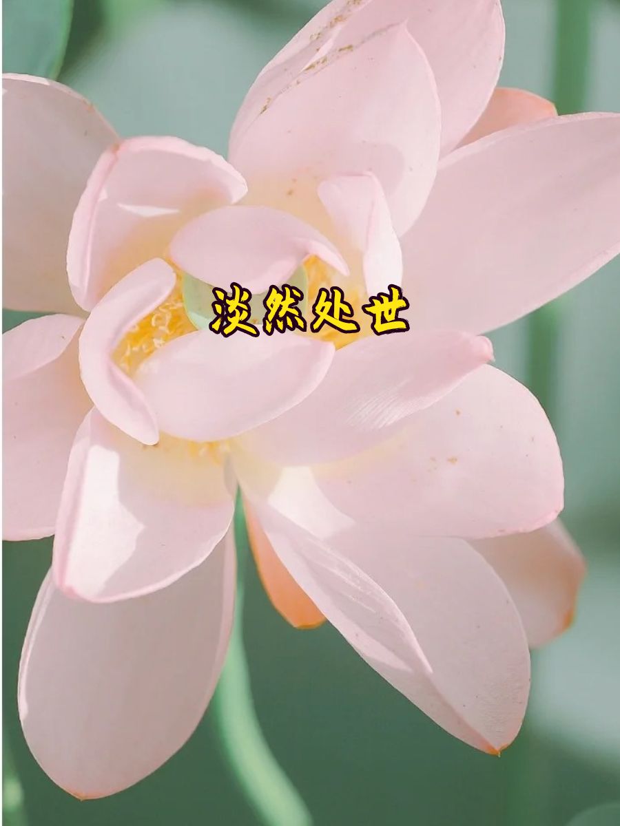 40至50岁快手昵称 岁月静好 智慧人生 淡然处世 悠然岁月 知足常乐