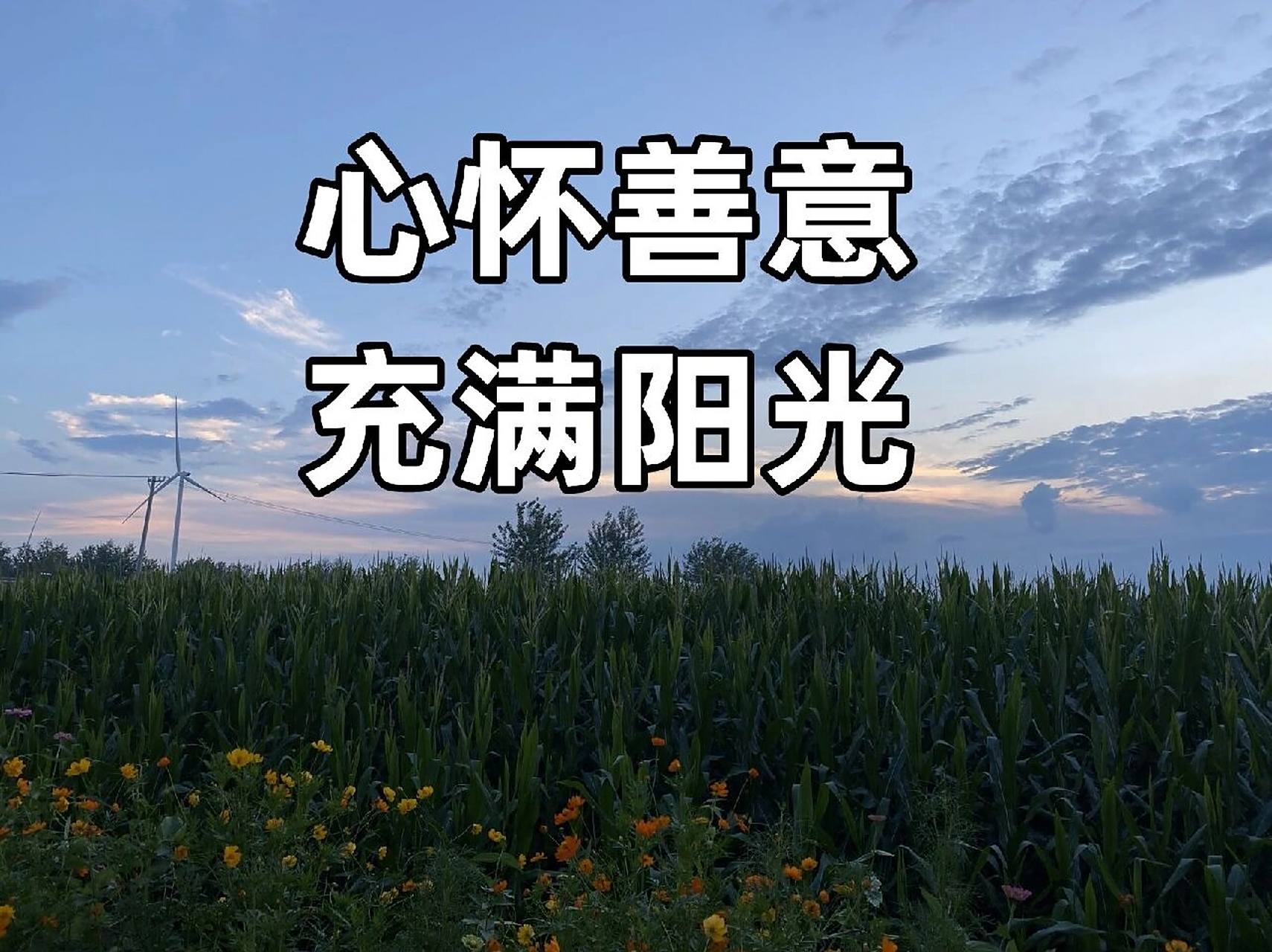 心怀善意,充满阳光 心理学说  如果你想成为一个阳光的人,首先你要做