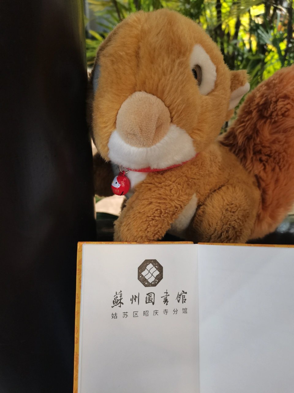 夜游苏州市平江文化中心 苏州市平江文化中心,位于苏州市姑苏区大儒巷