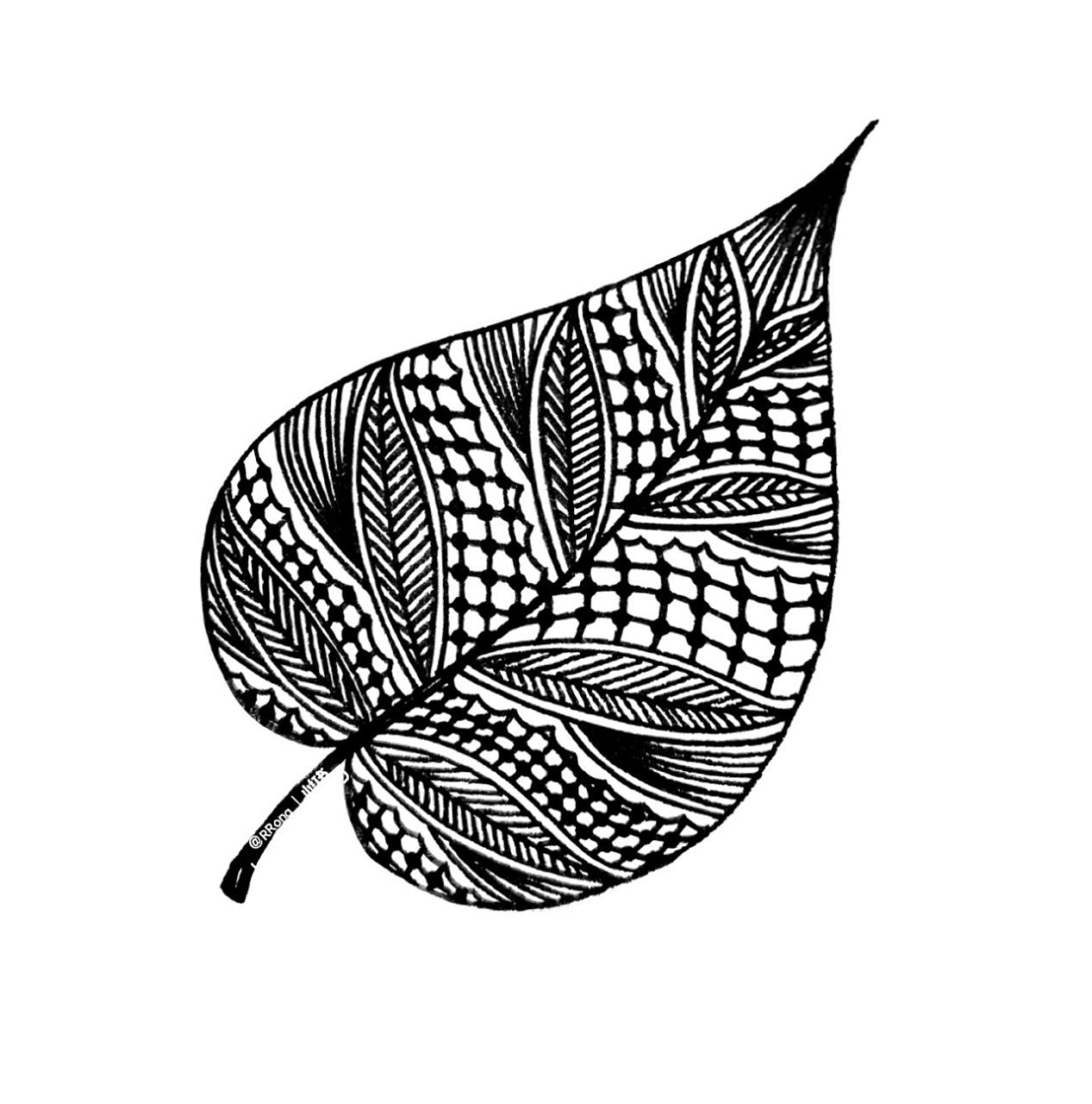 线描树叶 1-4 黑白装饰树叶 线描画 树叶线描 原创线描小画  树叶 1-4