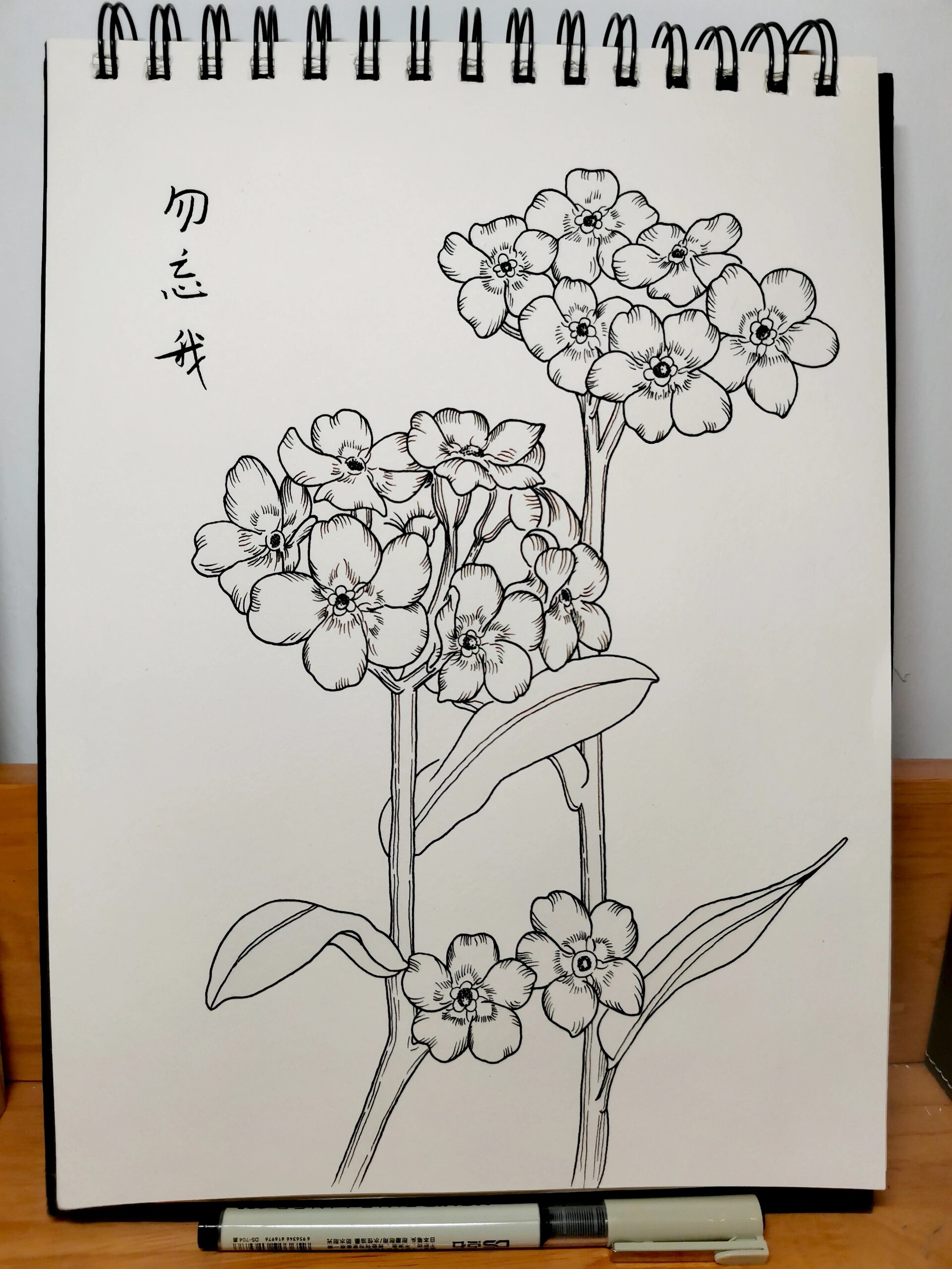 零基础学画画168～勿忘我(附步骤