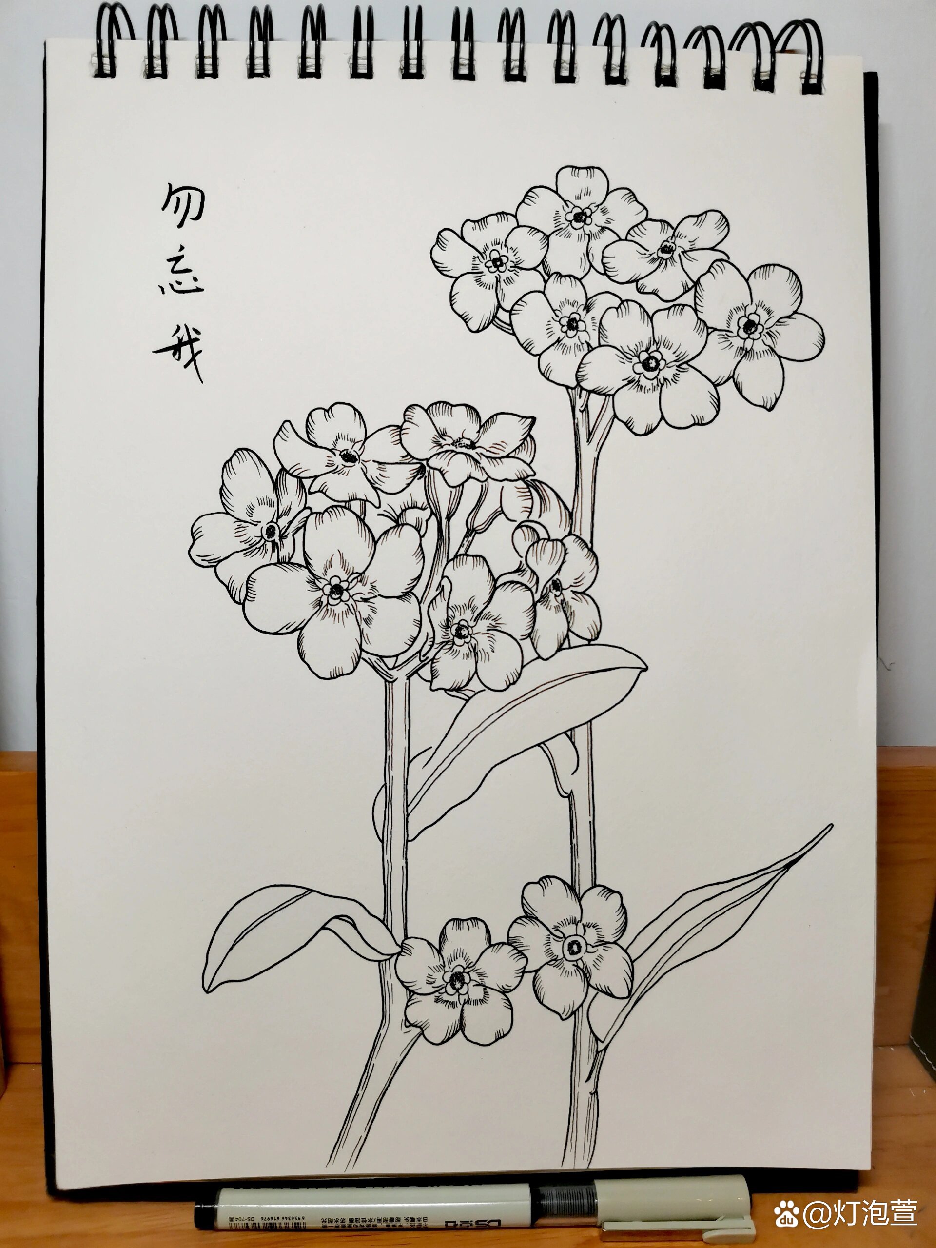 零基础学画画168~勿忘我(附步骤