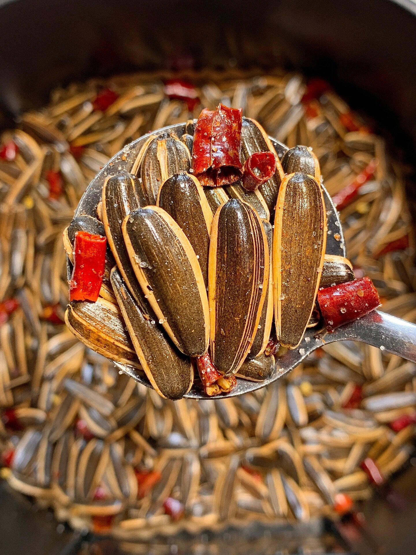 这麻辣瓜子太好吃了!又麻又辣越吃越上头