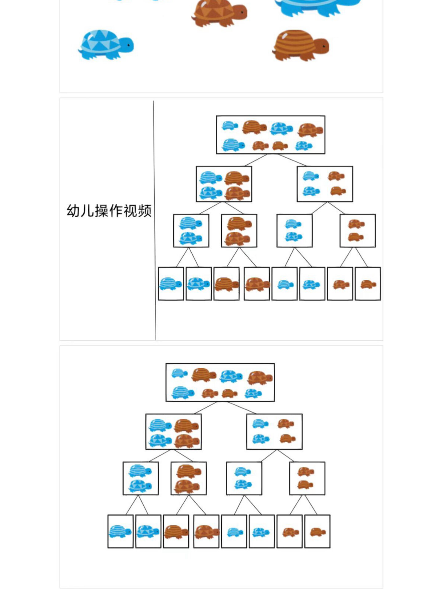 幼儿园优质宝藏课程《层级分类》大班科学优质课程微视频带实操展示供