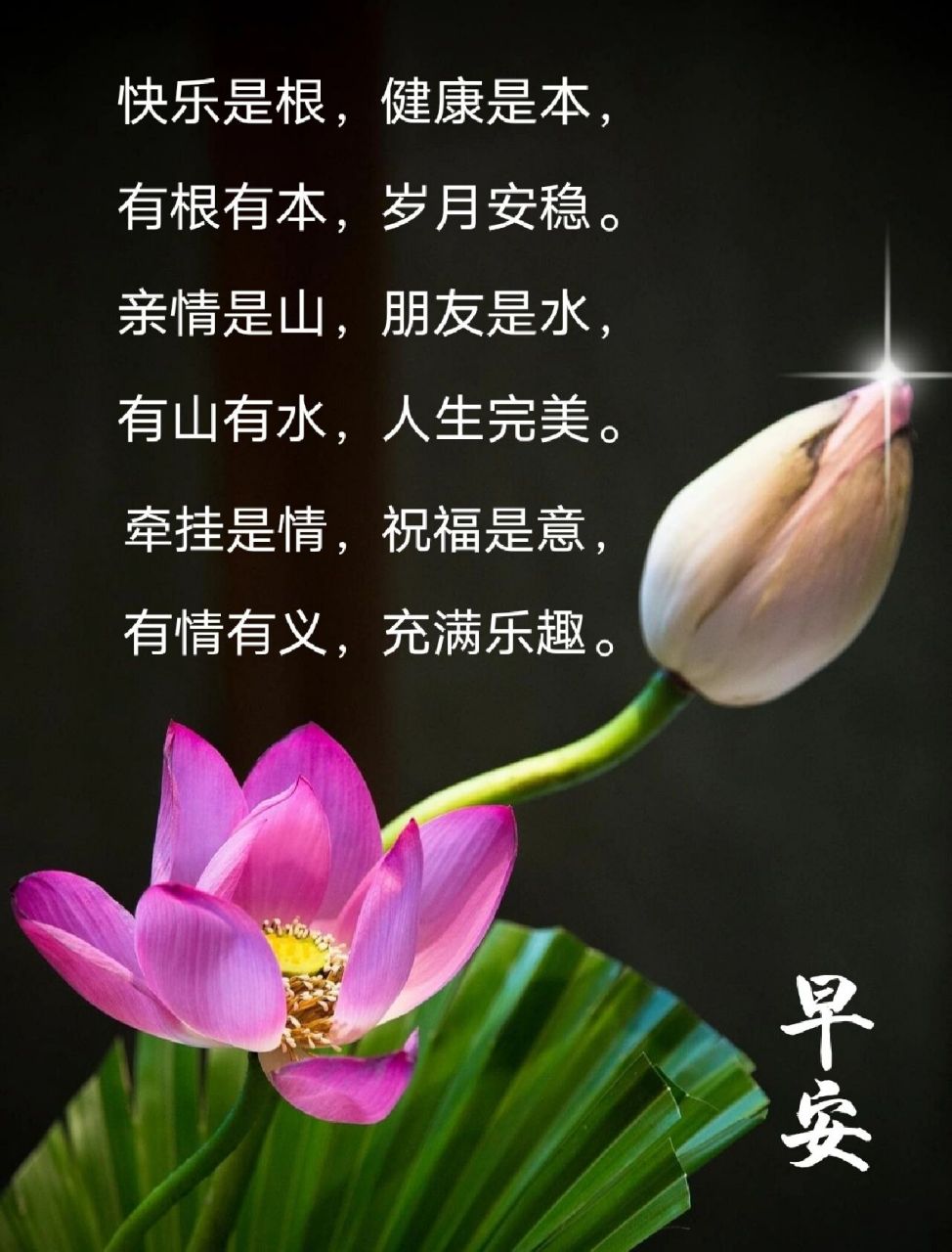早上好 快乐是根,健康是本,有根有本,岁月安稳.