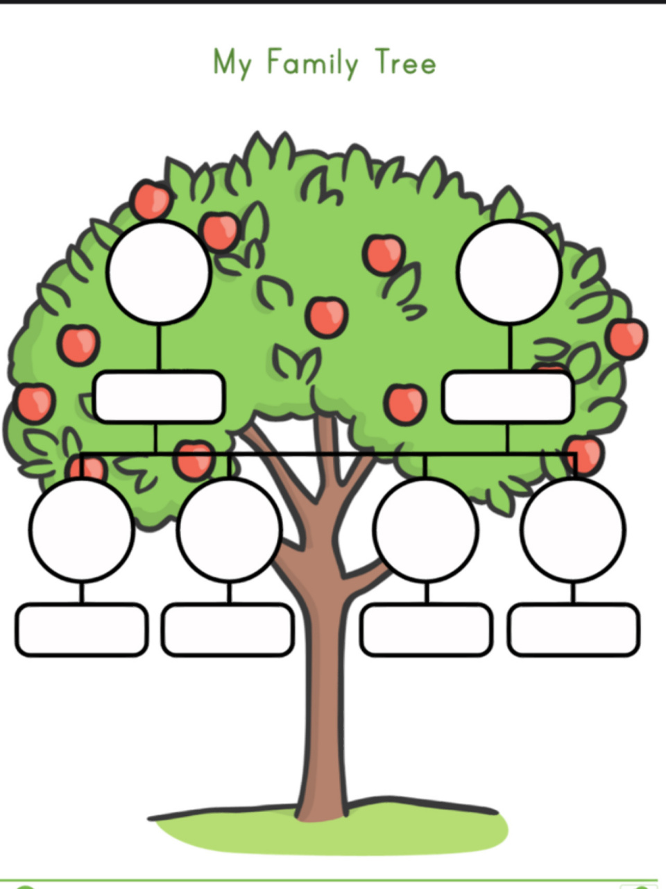 family tree发财树图片