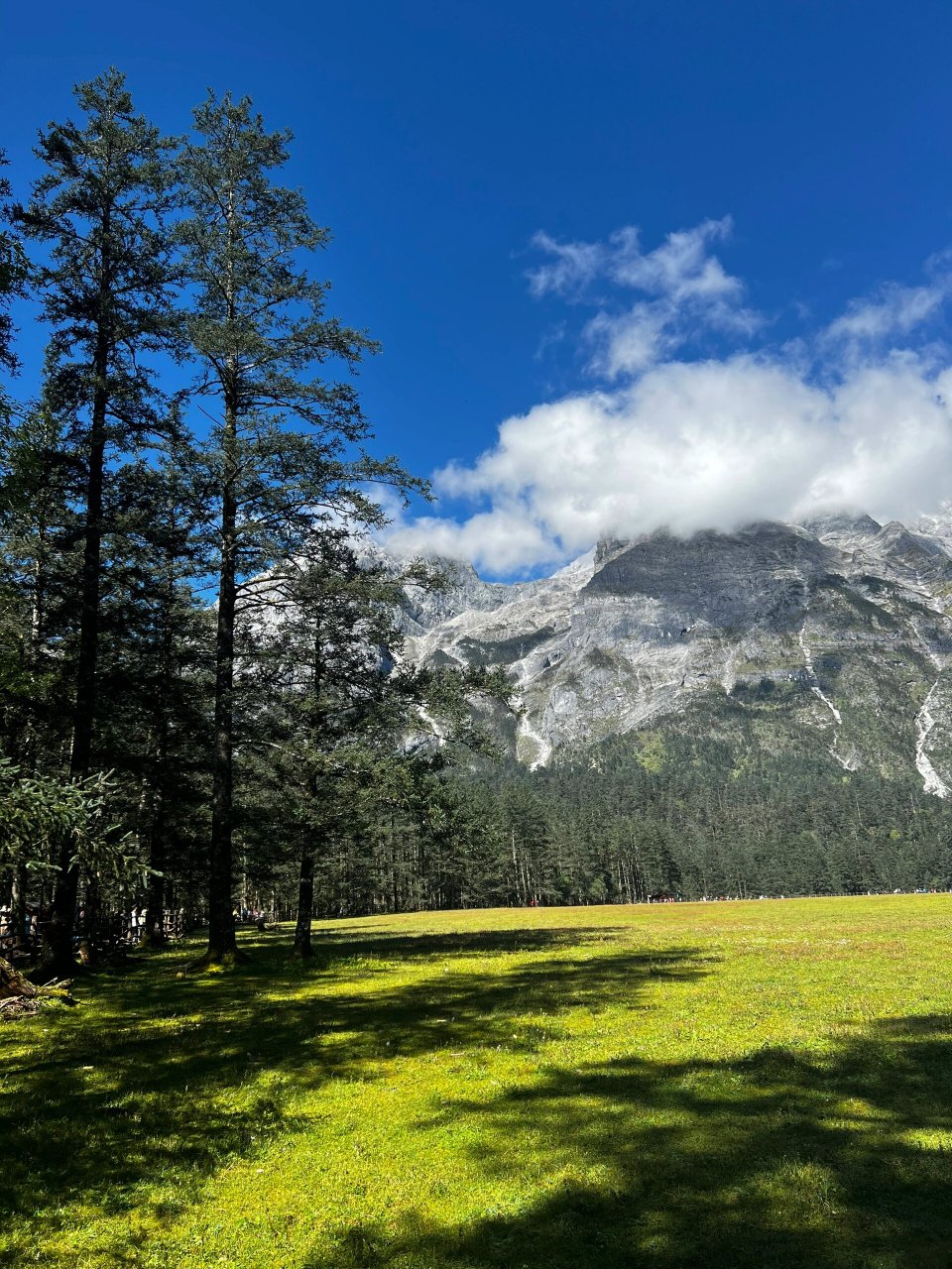 云杉坪,蓝月谷攻略!
