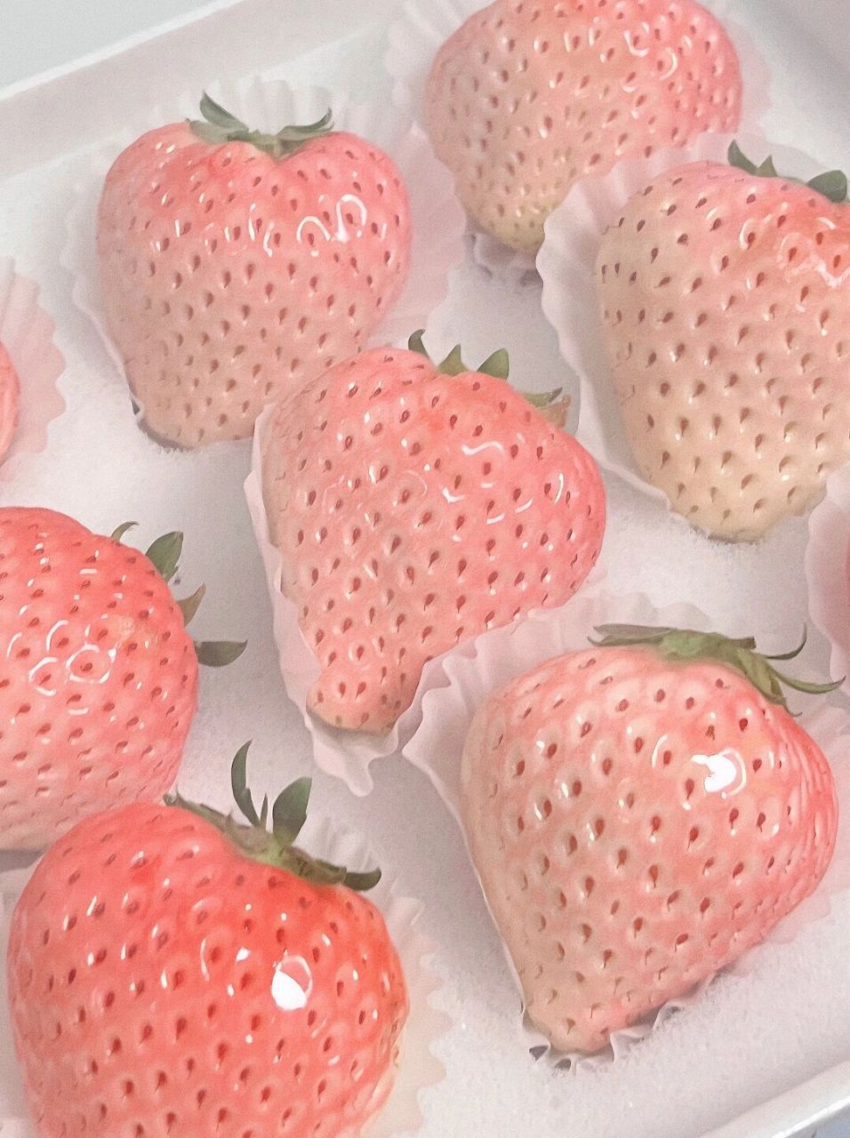 欣赏可爱草莓 粉草莓好香甜啊!舍不得吃