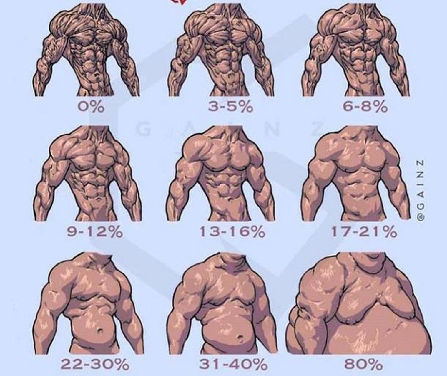 九种体脂率的腹肌,你是哪种?[三哈]