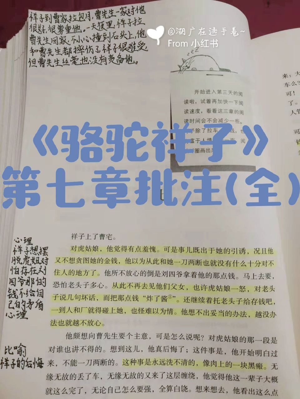 《骆驼祥子》第七章批注