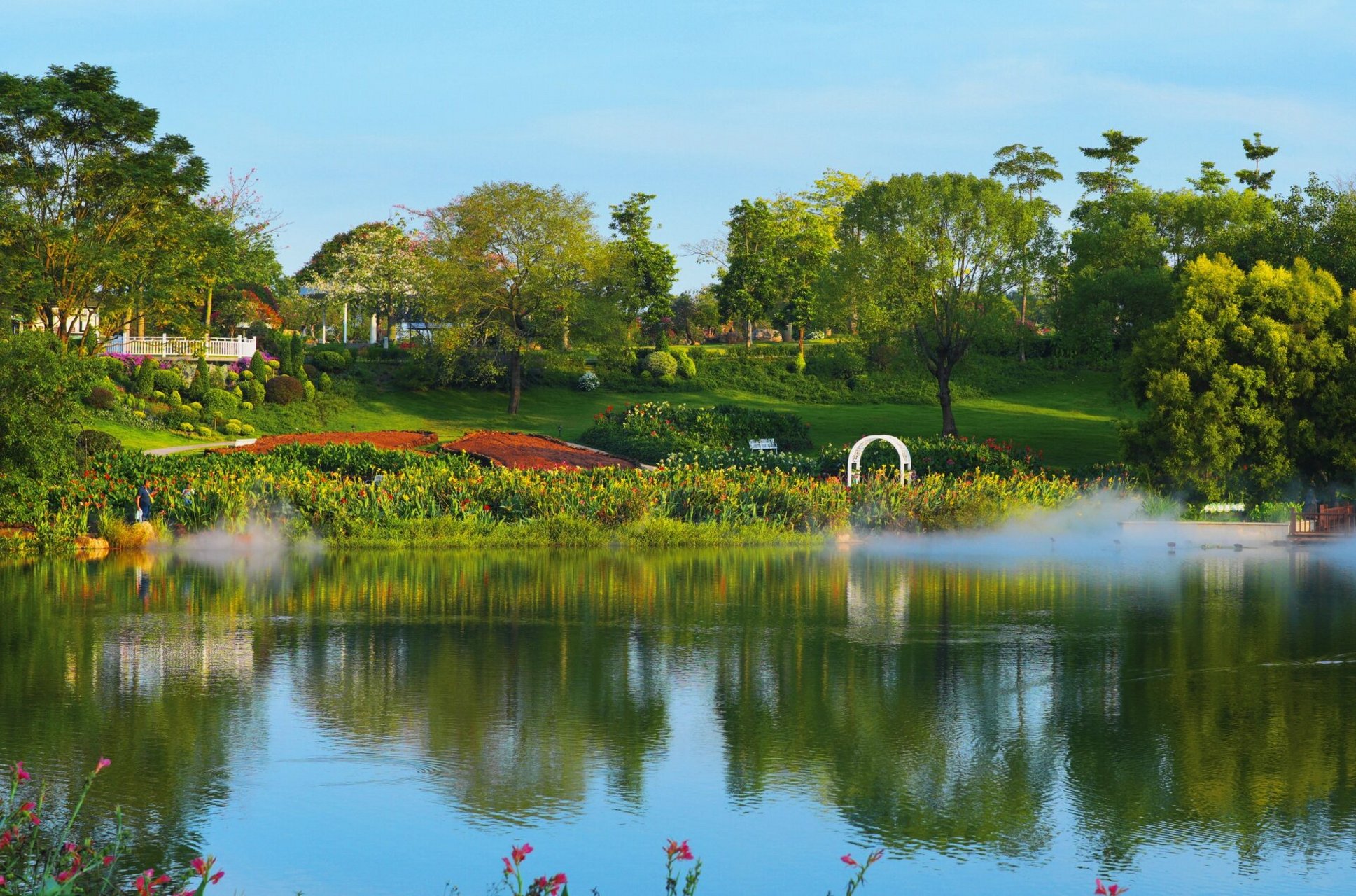 青秀山水生花园 深秋里如夏日般绿意盎然的水生花园