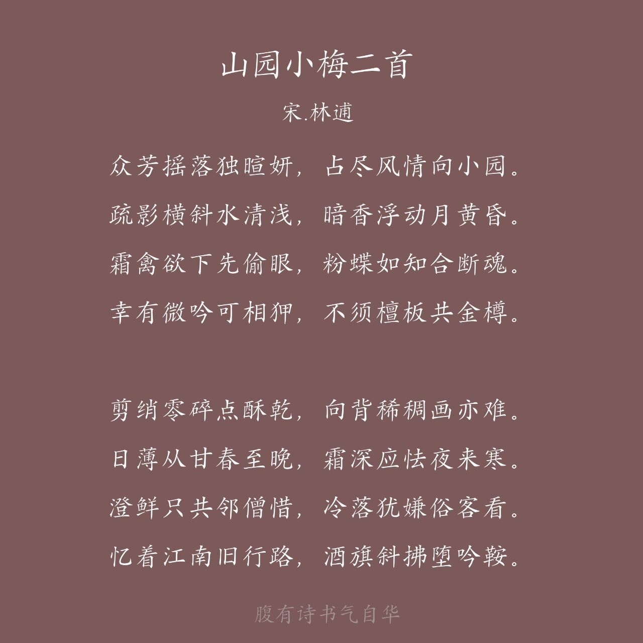 每日一首诗词—《山园小梅二首》 92译文 百花凋零,独有梅花迎着