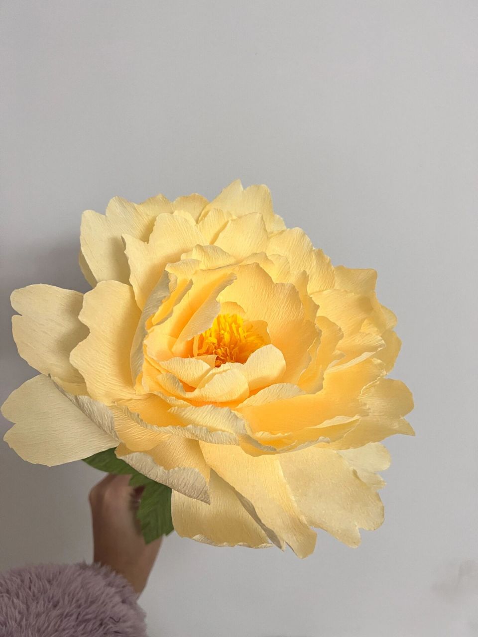 皱纹纸牡丹花 用皱纹纸做了一款简单点的牡丹花 做出来效果不错 简单