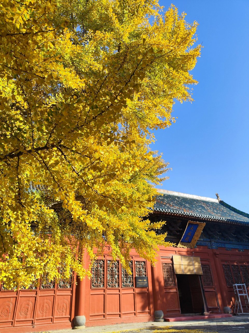 今天的太原文庙 赶紧冲啊 求幸福铺满全地壳