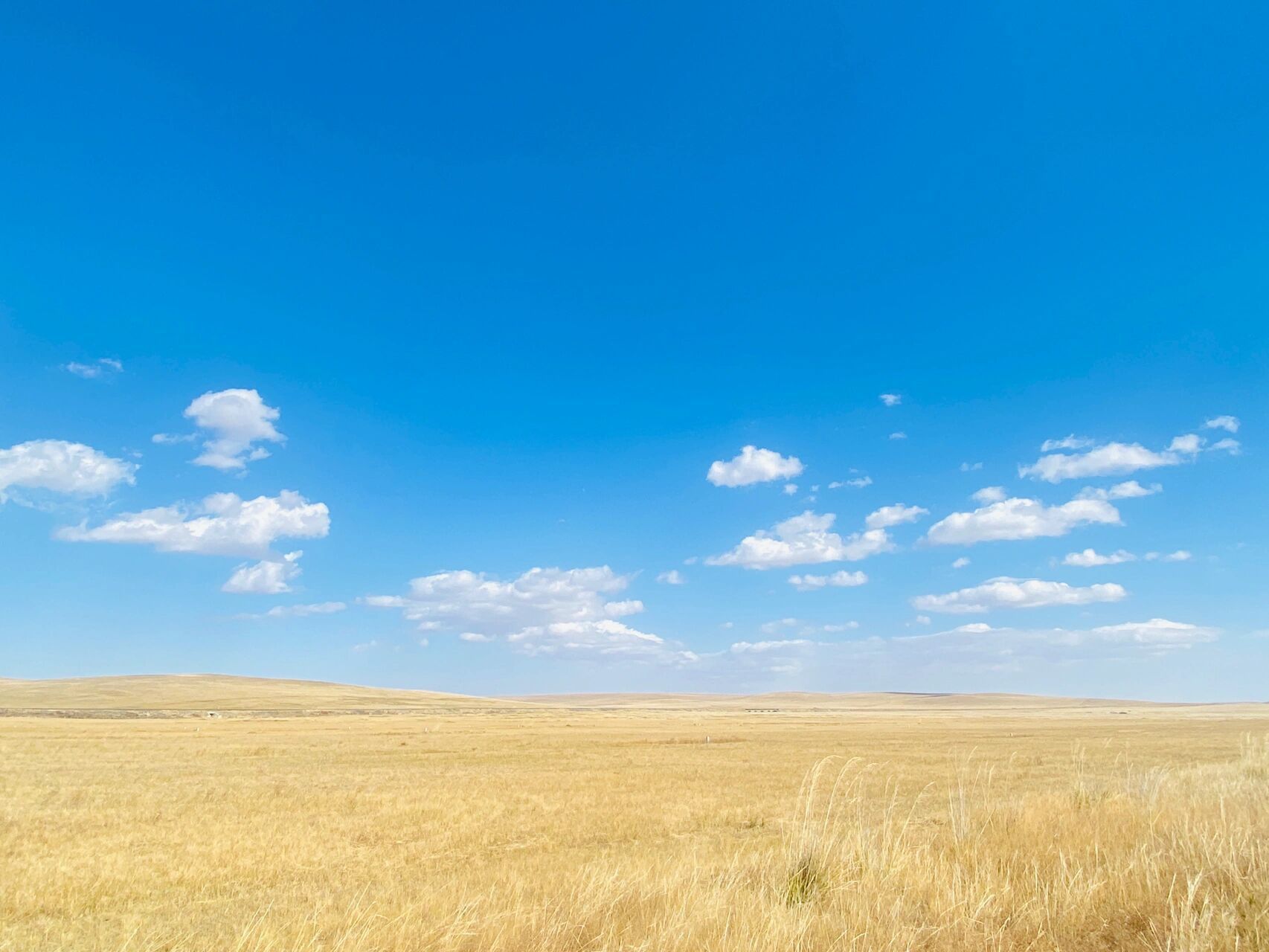 自驾内蒙:锡林郭勒-阿尔山-满洲里-呼伦贝尔 自驾穿越内蒙北线,从