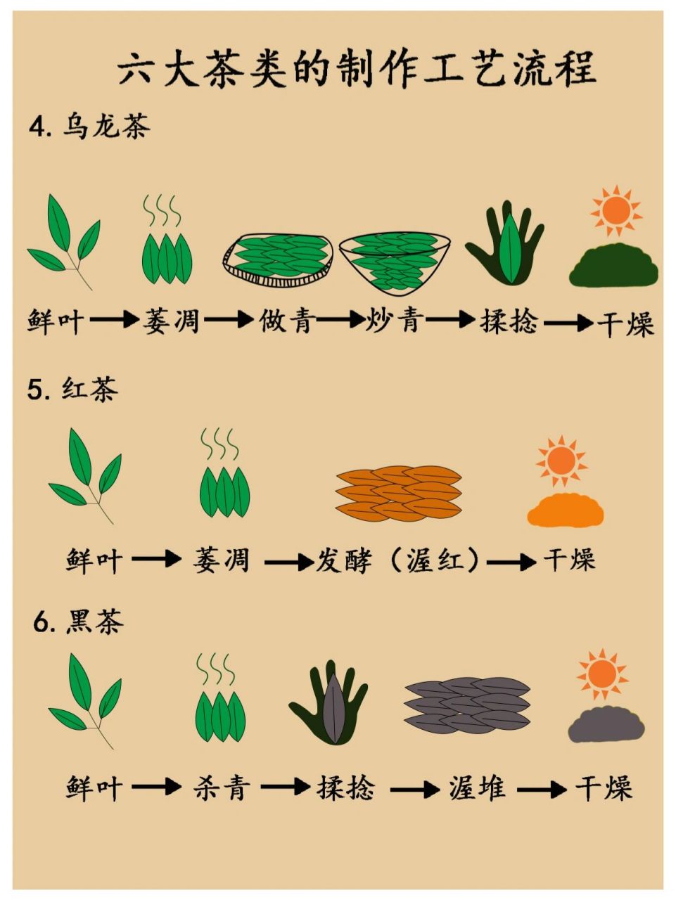 现代制茶工艺流程图图片