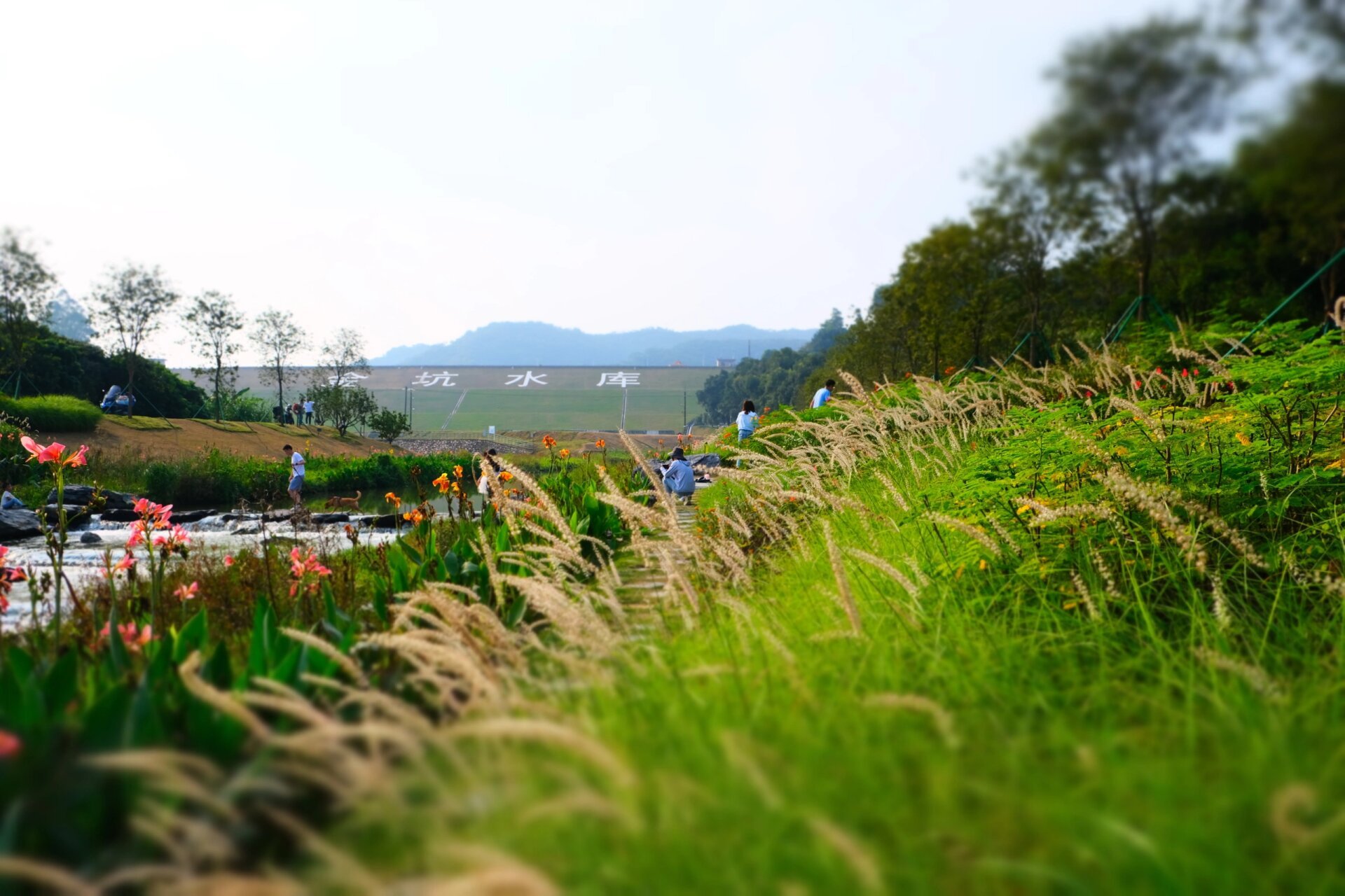 广州黄埔秋日周边游#金坑水库    交通攻略: 乘坐21号线直达金坑地铁