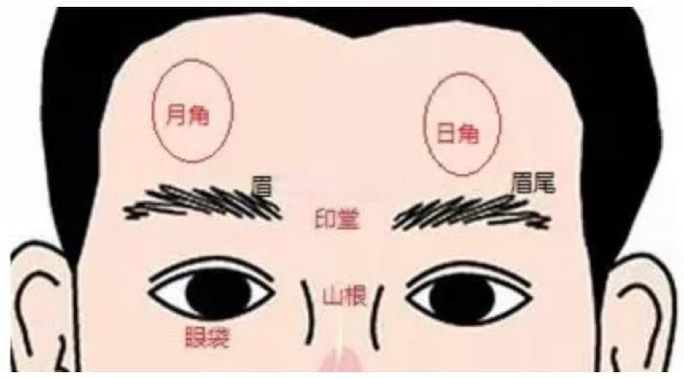 面相解读——额头日月角——玄灵道人[超话] #面相小知识# 转运[超话]