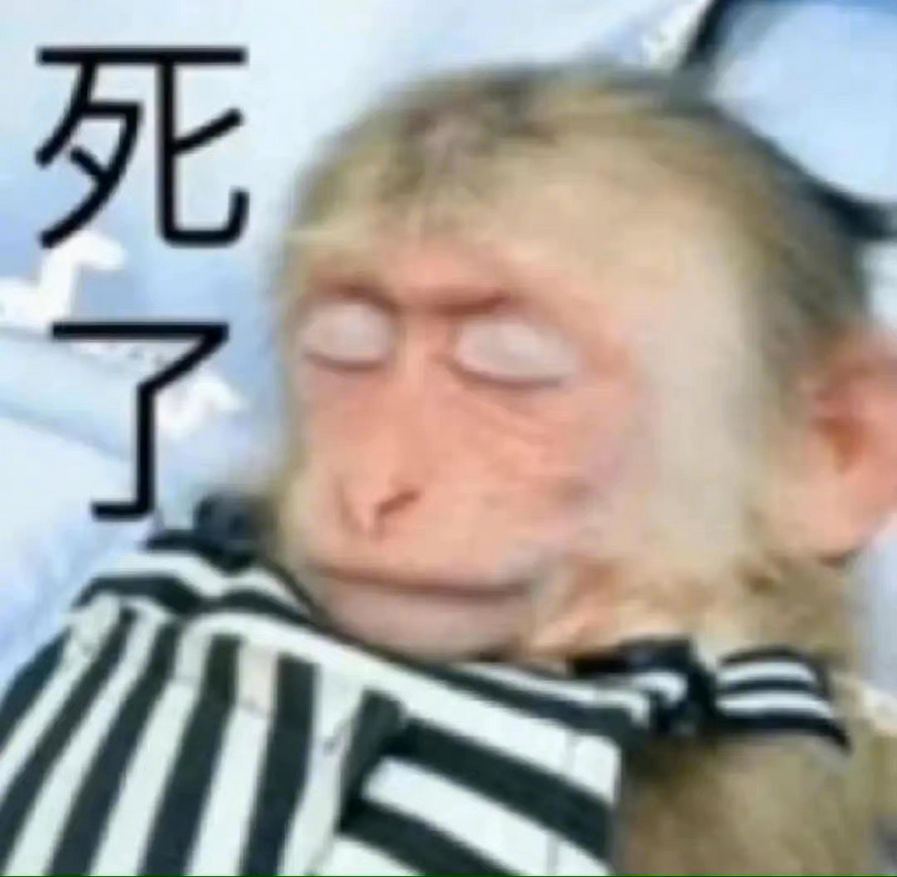 核酸检测猴子表情包图片