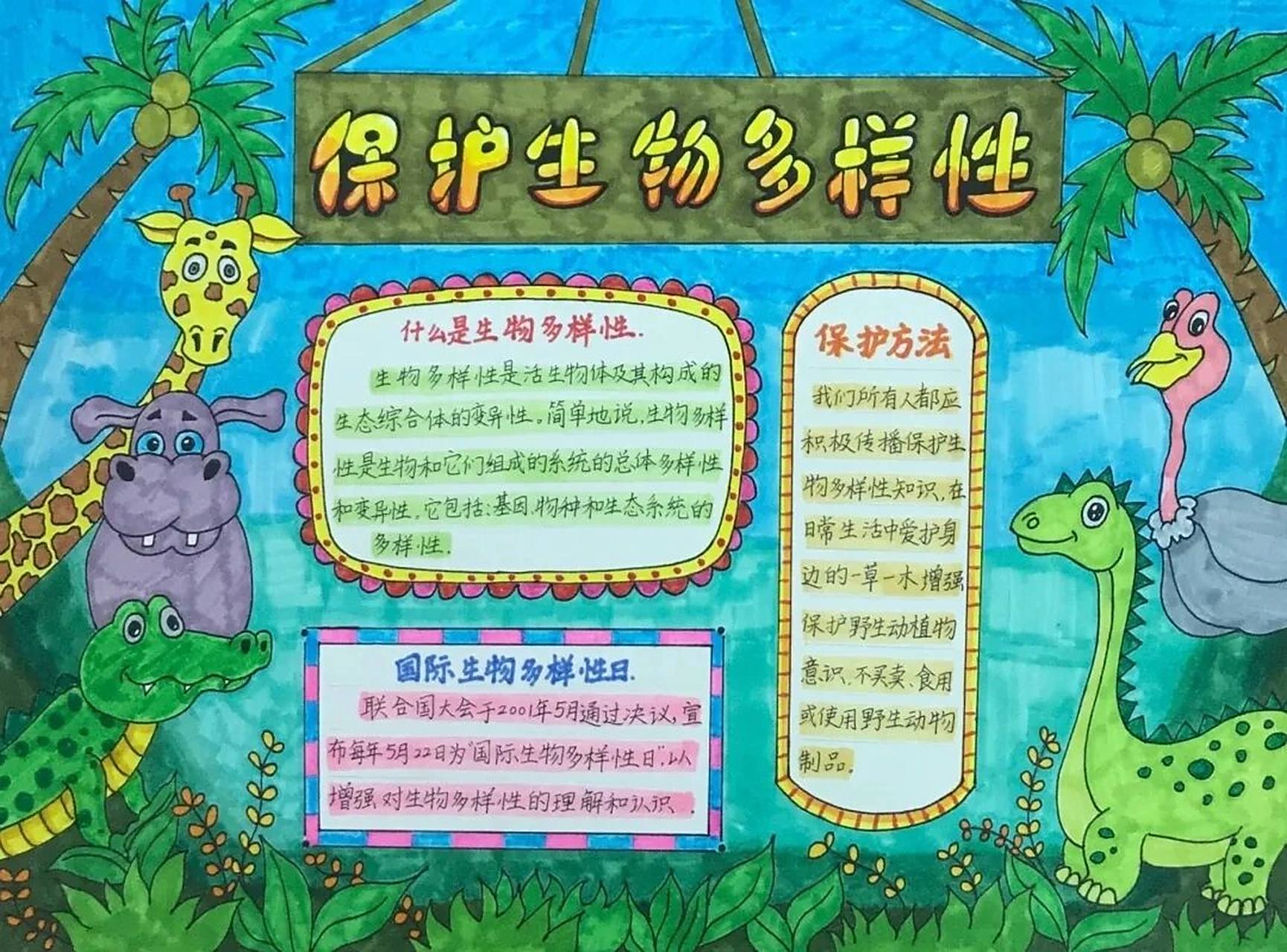 创意手抄报《保护生物多样性》 人与自然和谐相处 人从自然中走来,与