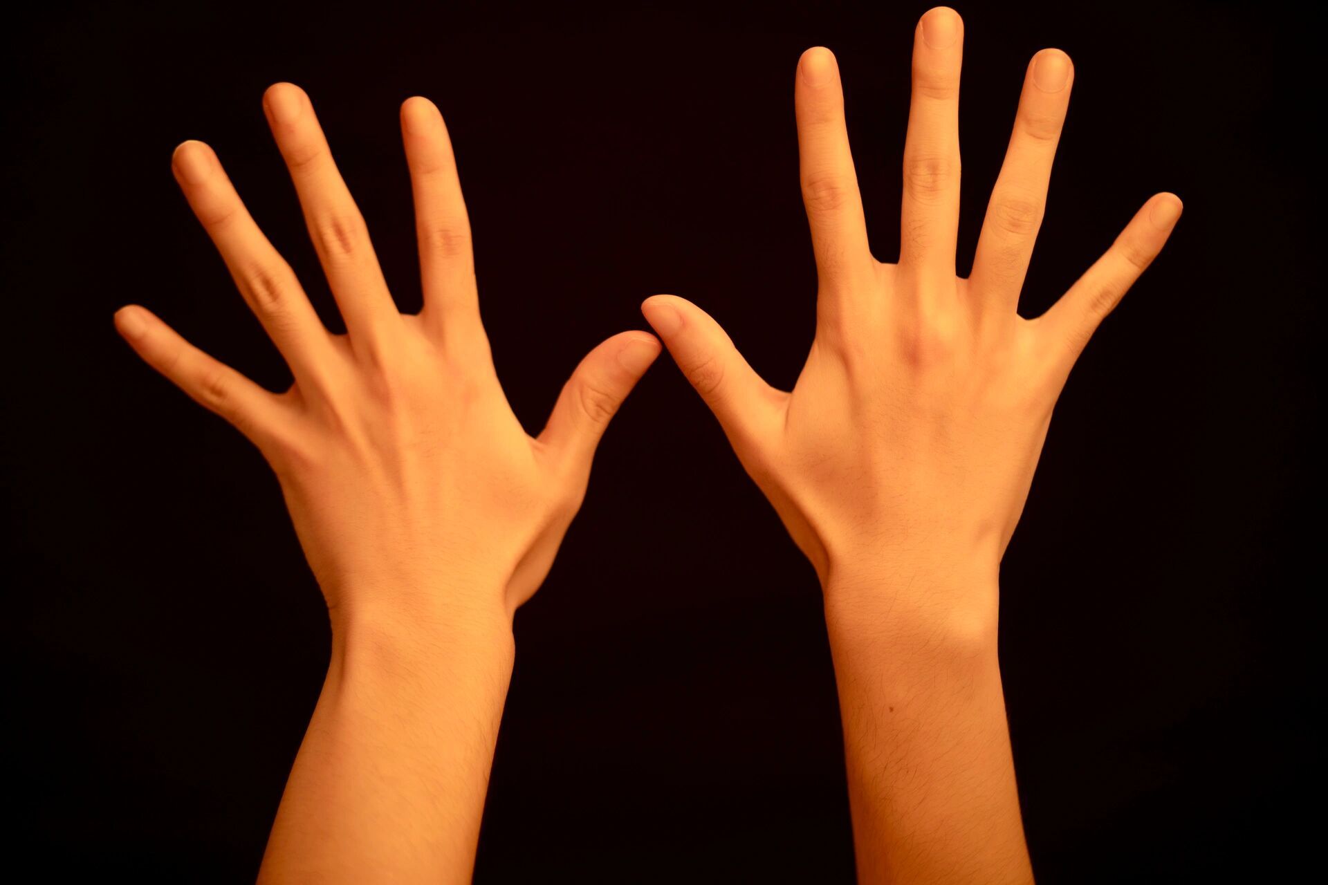 入行一年轻松接到手模特单子是种怎样体验 前言:我一开始是怎么入行的