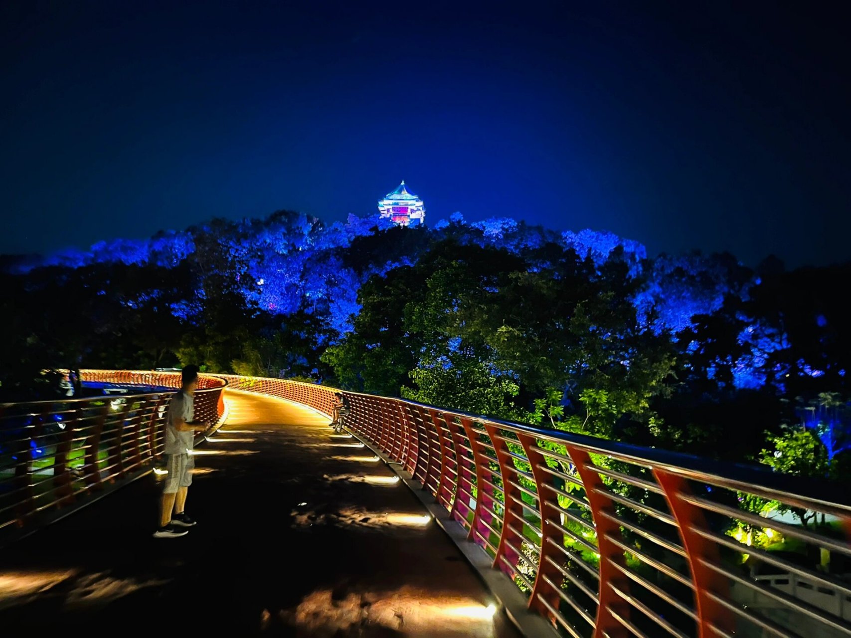 佛山禅城夜景图片