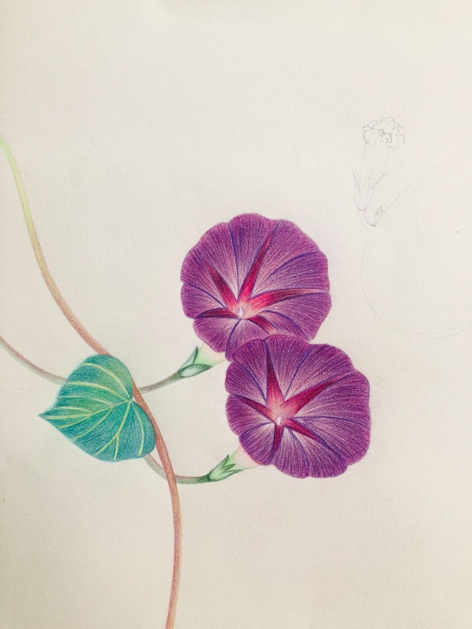 97编号511(原来创画于北京樱花园),画着画着就走样了979797