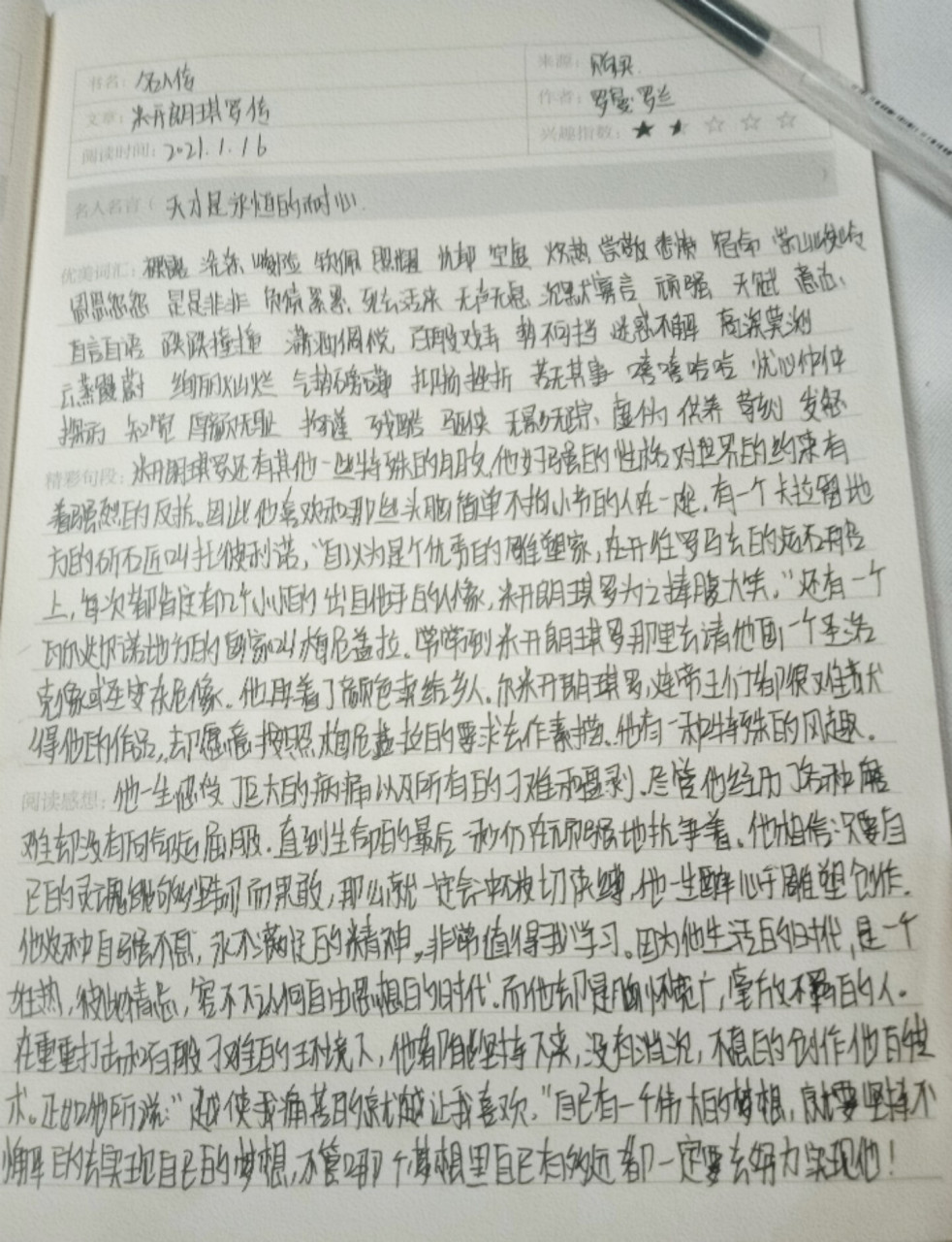 名人传读书笔记 米开朗琪罗传