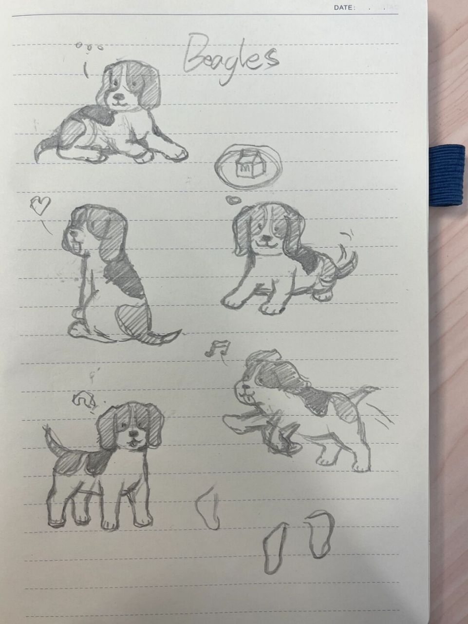 98狗狗简笔画100-19|比格犬 狗狗简笔画第19弹,今天是比格犬.