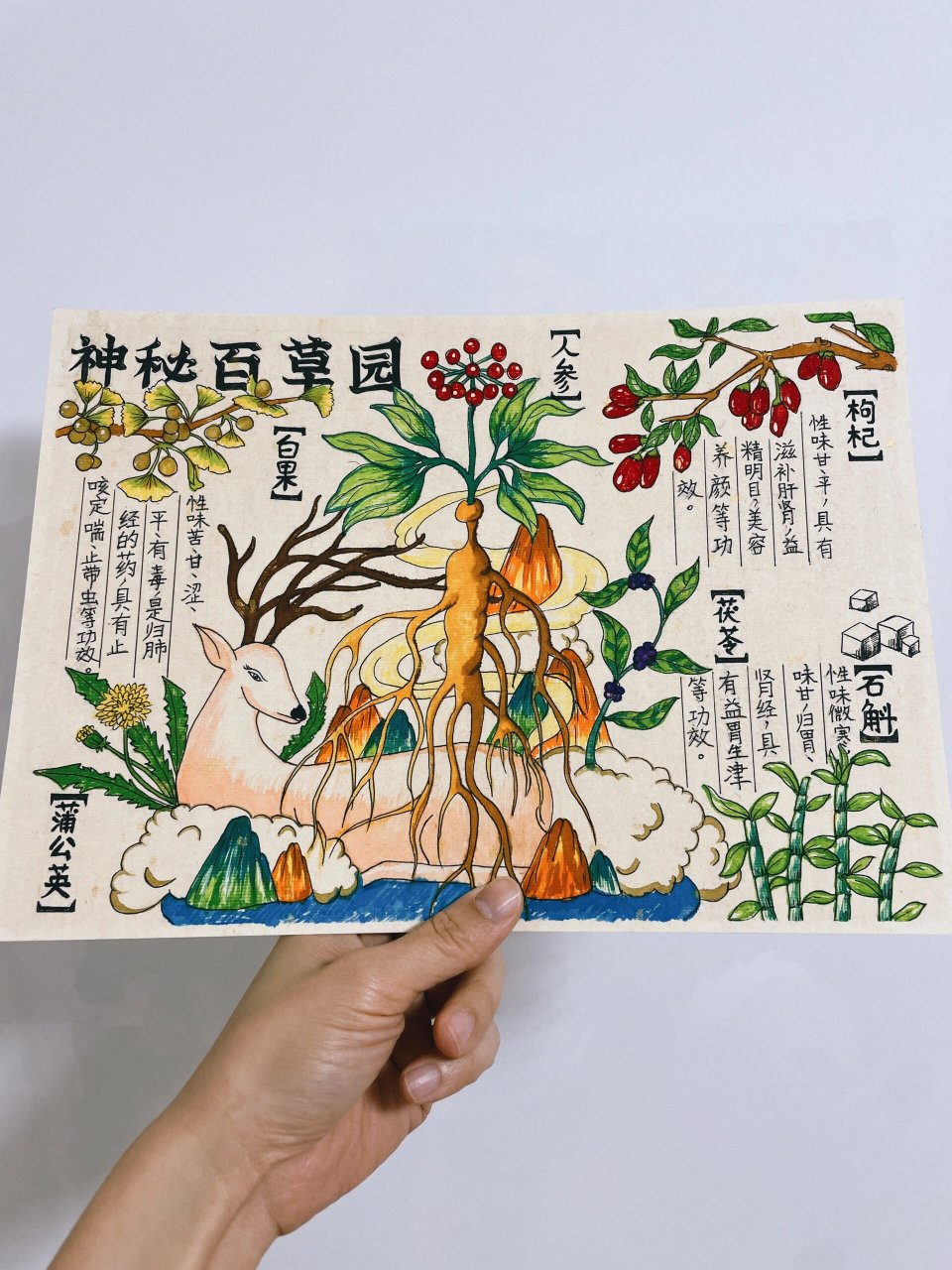 百草园一角简笔画图片