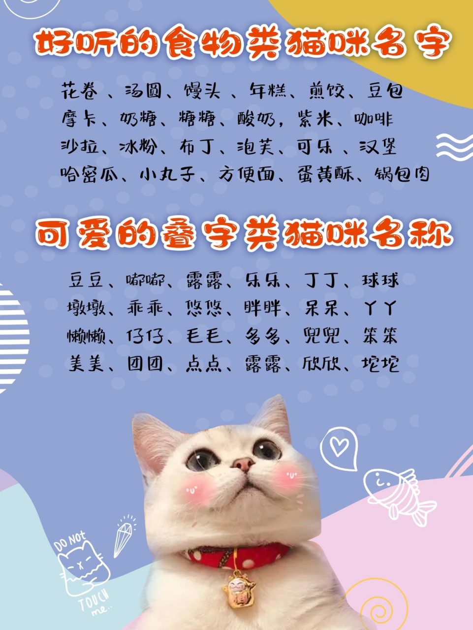 小仙女这两天盘点,80后,90后,00后给猫咪取名字这件事时,发现铲屎官们