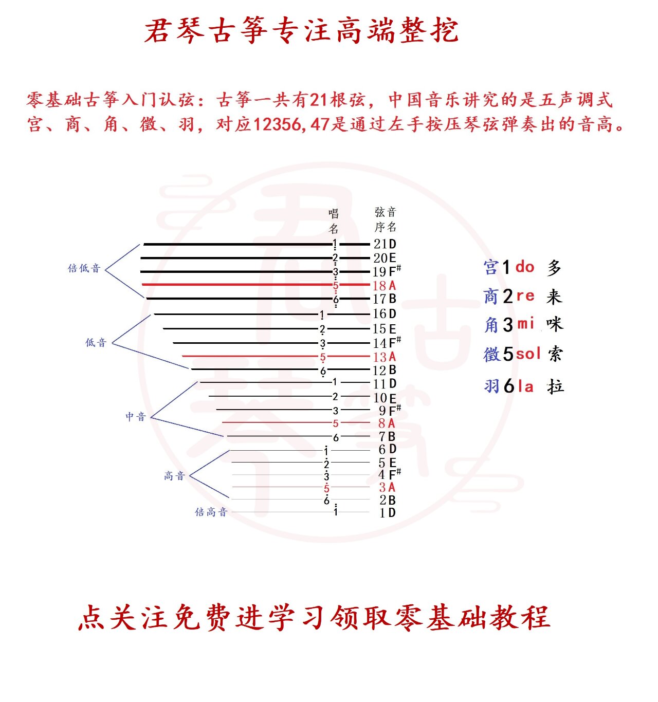 古筝d调零基础入门认弦