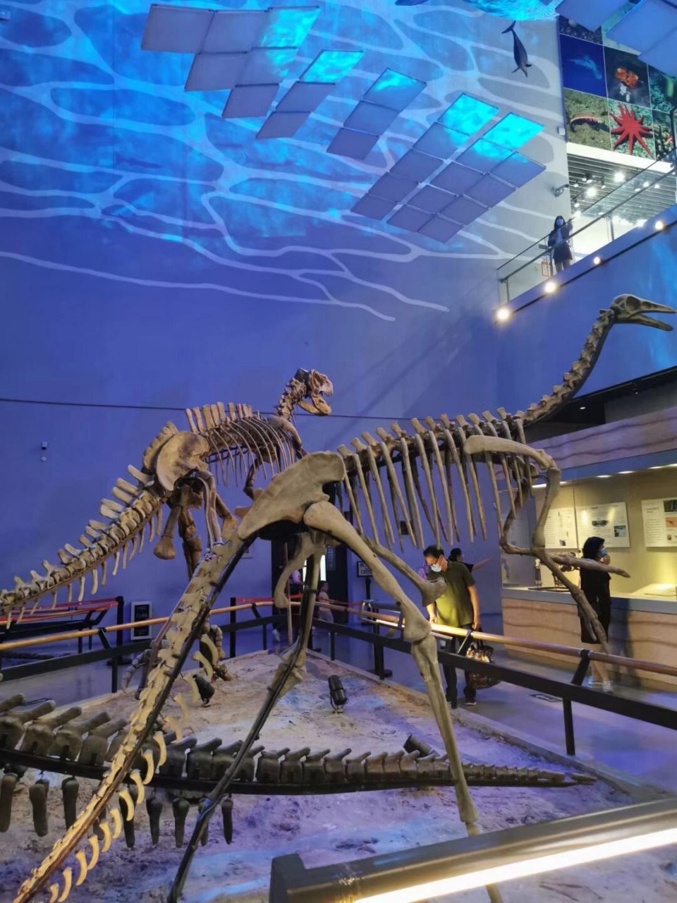 广东省博物馆—恐龙展厅 位置:广州市天河区珠江新城珠江东路2号 99