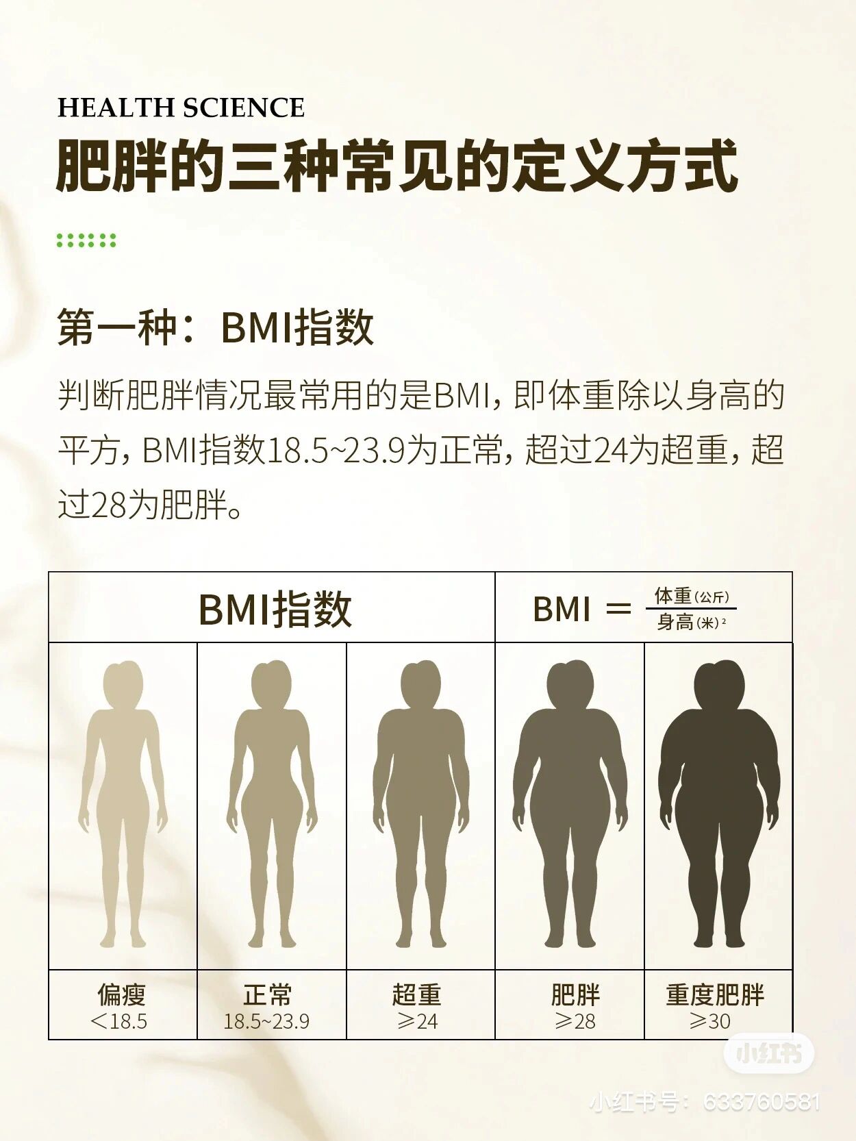 肥胖对照图图片