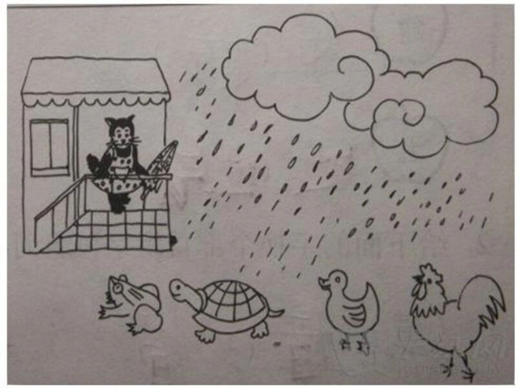 看图写话 雨天的故事 看图写话 雨天的故事 一天,青蛙,乌龟,鸭子和大