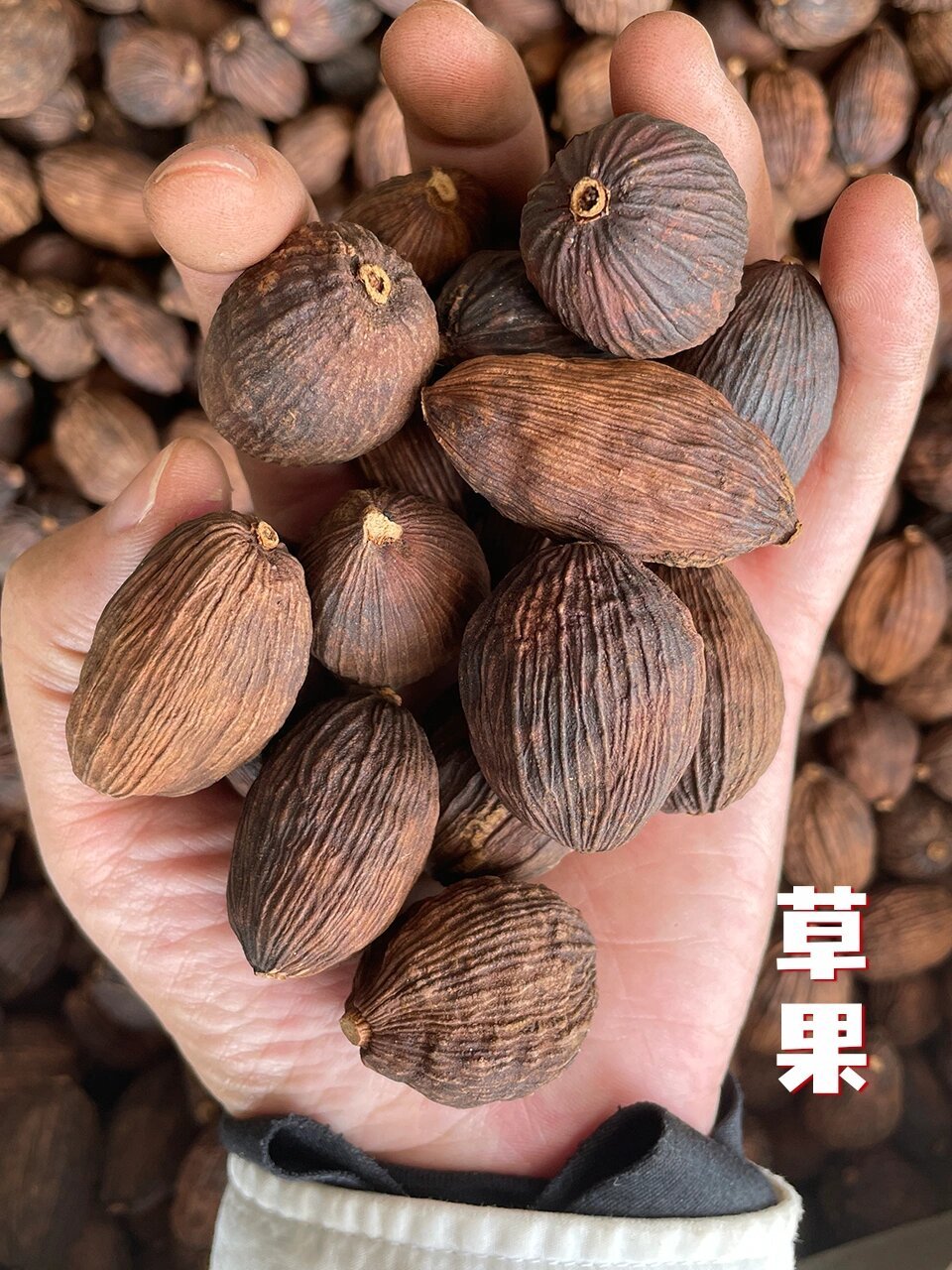 味枢香料|卤水常用香料:肉蔻,草寇和草果 🟢肉豆蔻 🌟🌟🌟