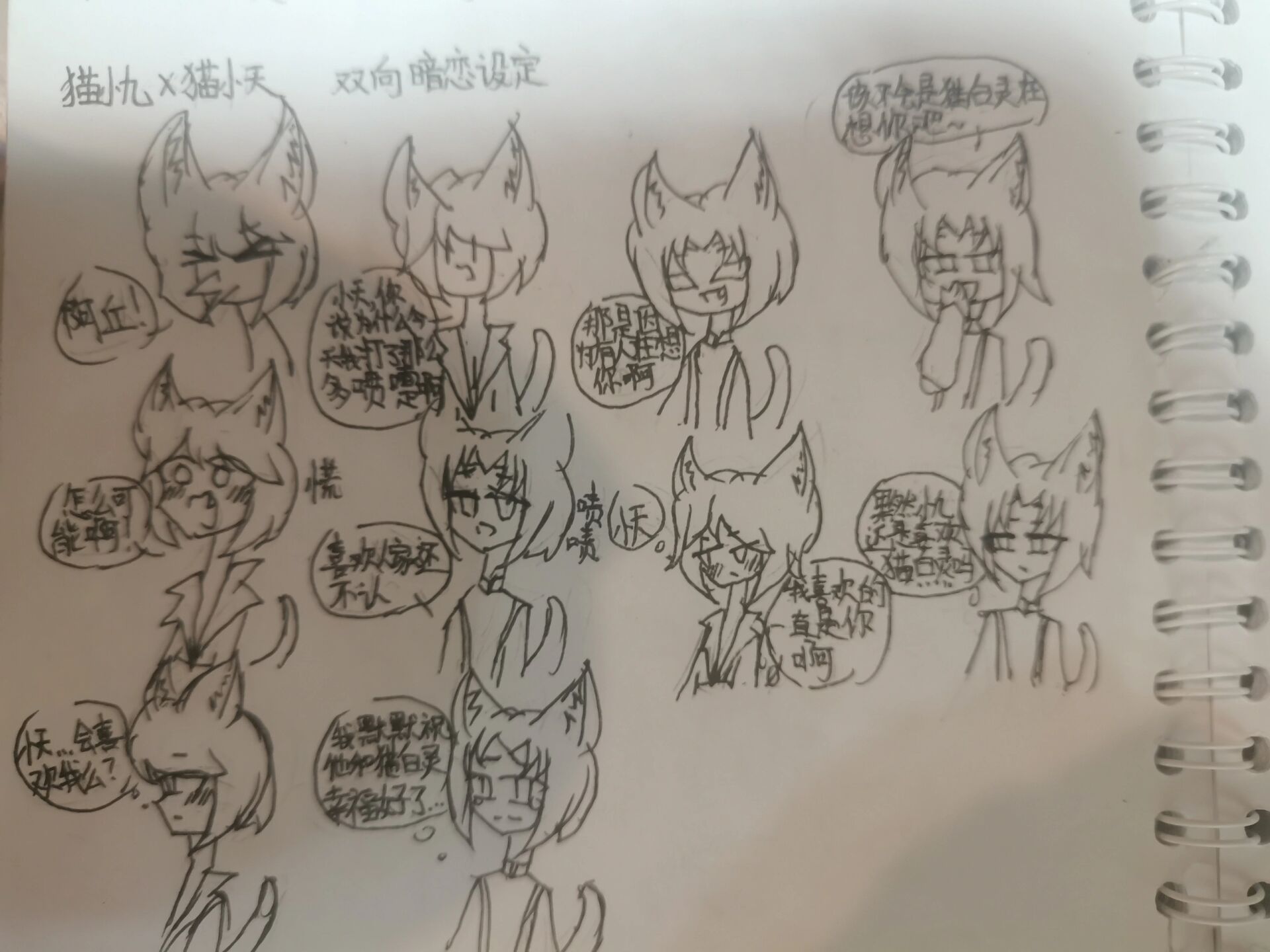 猫小天和猫小九的cp