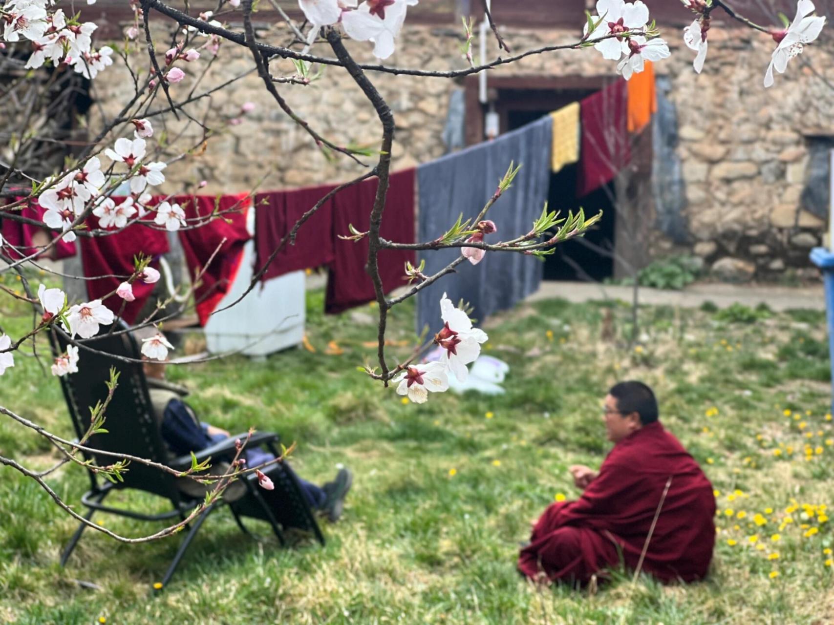 寺庙,僧侣,桃花94 倾多寺,又名倾多强巴林寺,位于波密县倾多镇,该寺