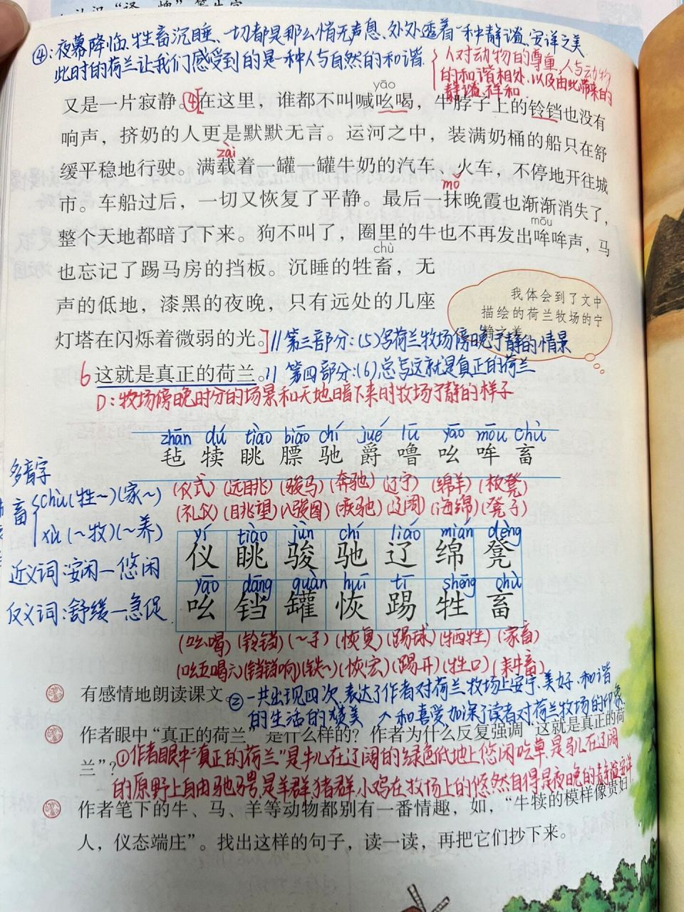 五年级语文下册第19课《牧场之国》预习