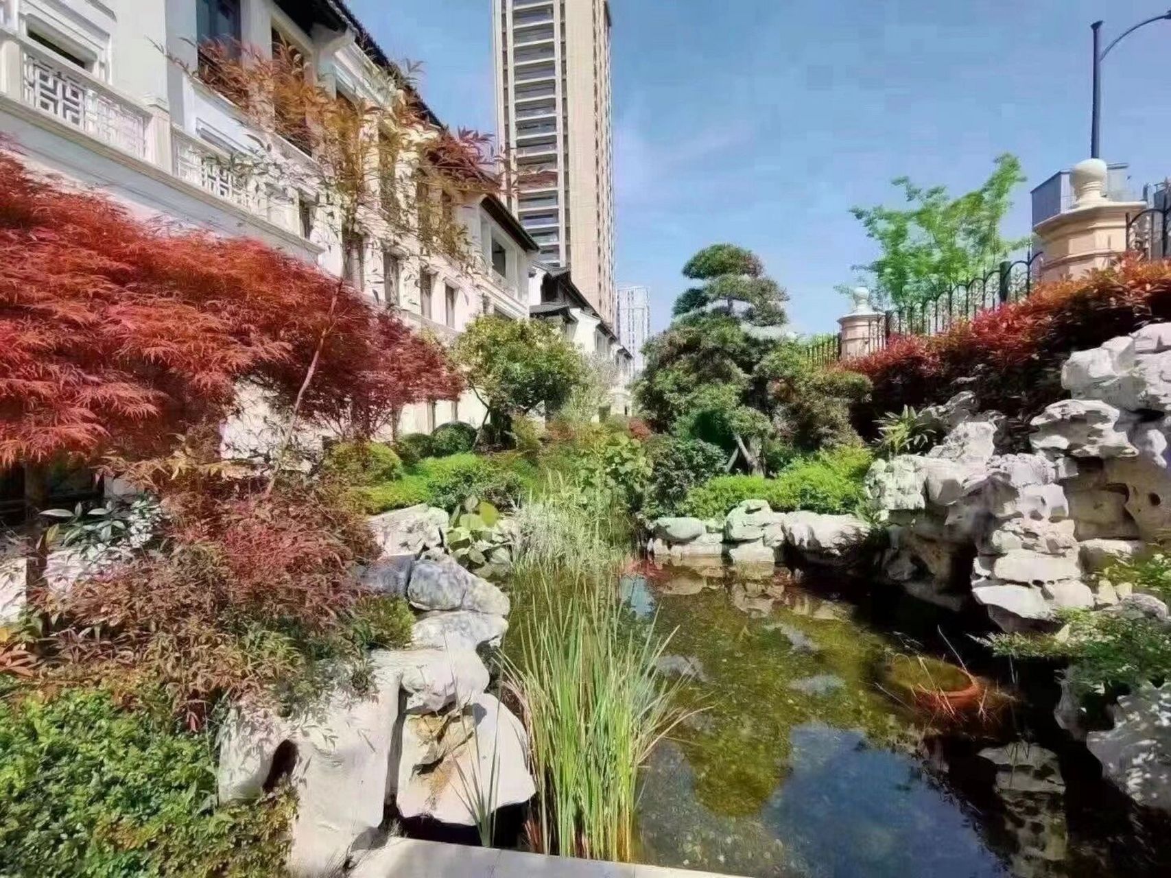 滨江华家池 67稀缺排屋 67566方 11566本证 总价一个小目标