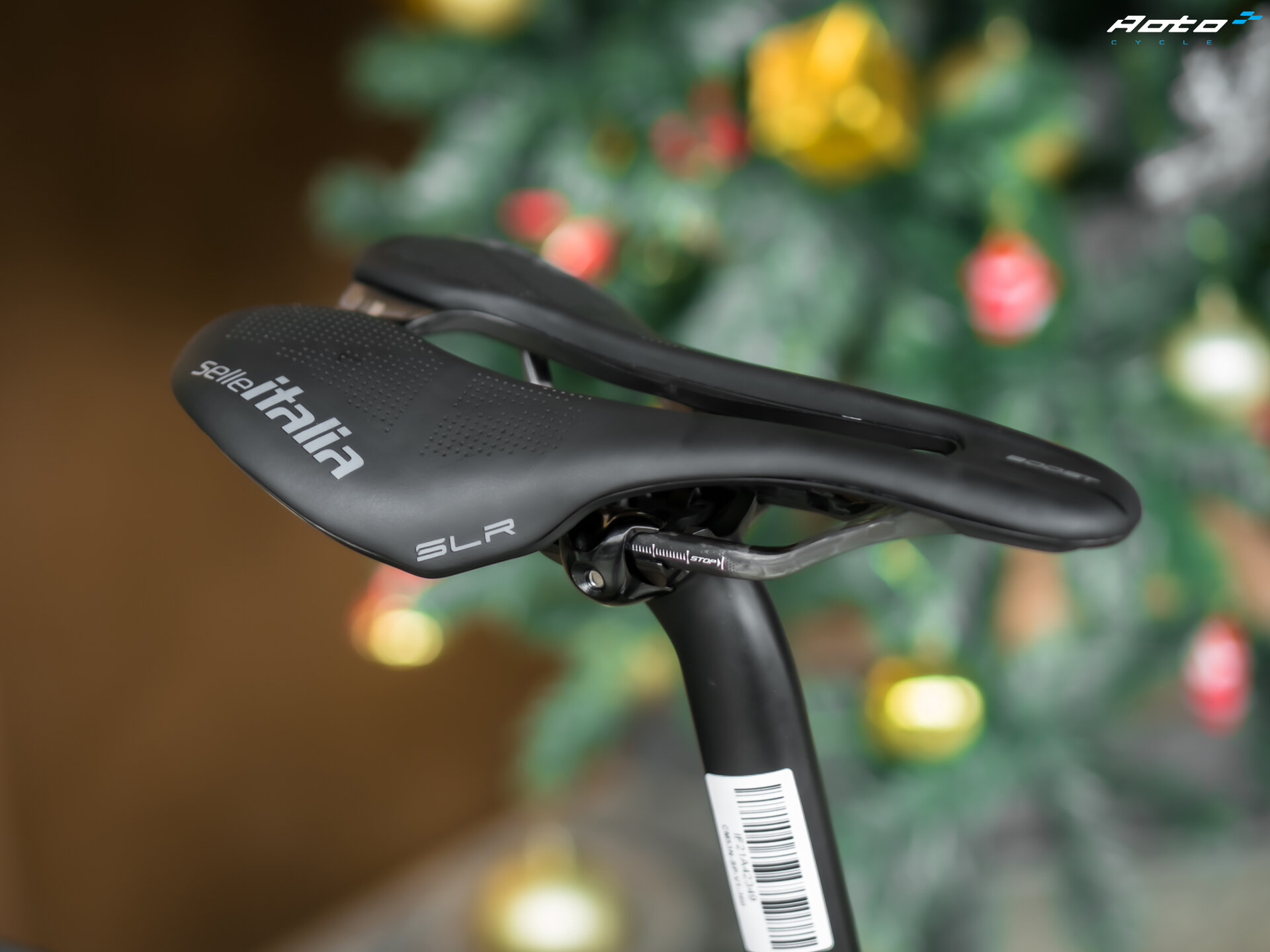 wilier triestina 意大利原产限量版 系列整车 圣诞-元旦 节日活动