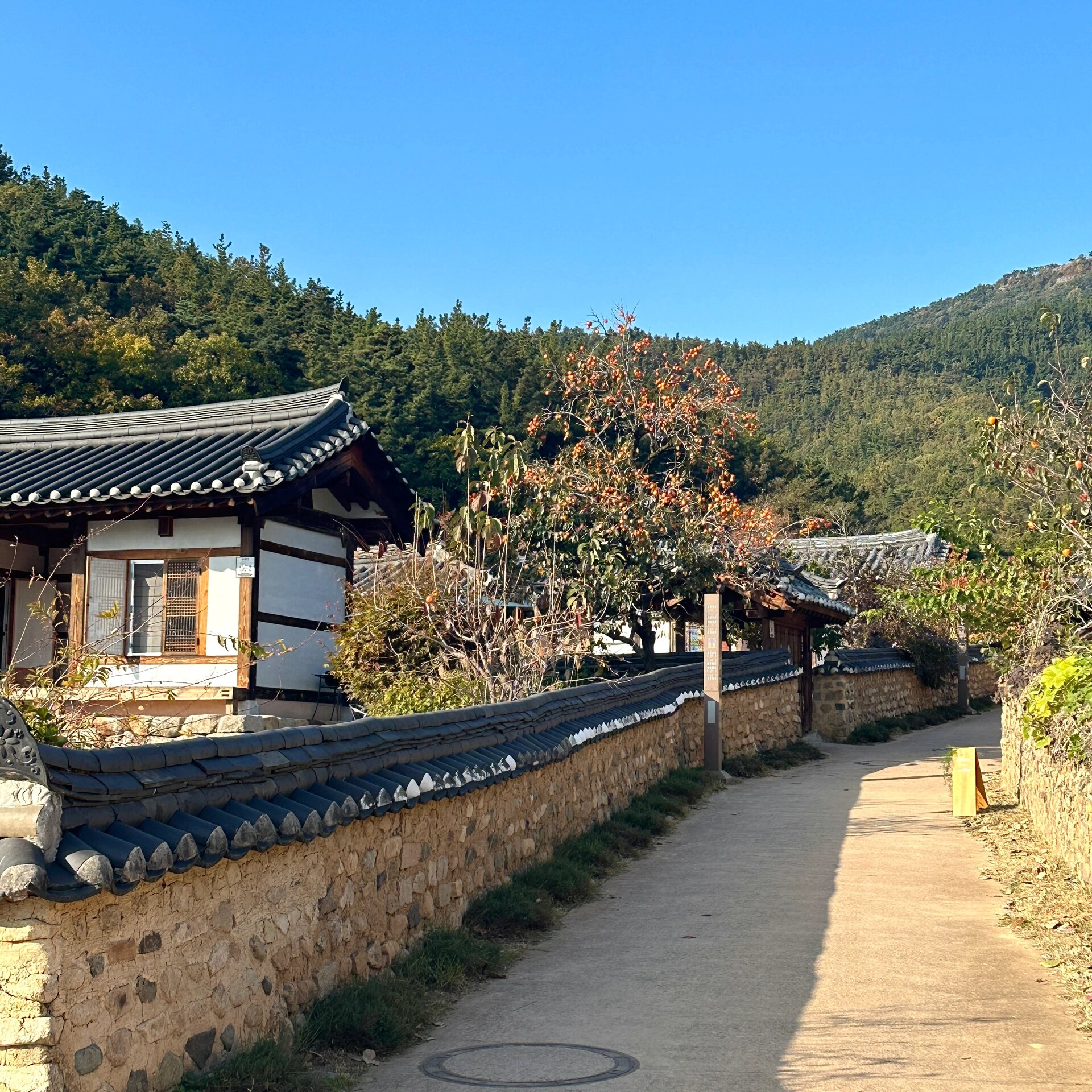 9693韩国大邱 周末好去处|漆谷村 韩国大邱出名的古建筑群,保留着