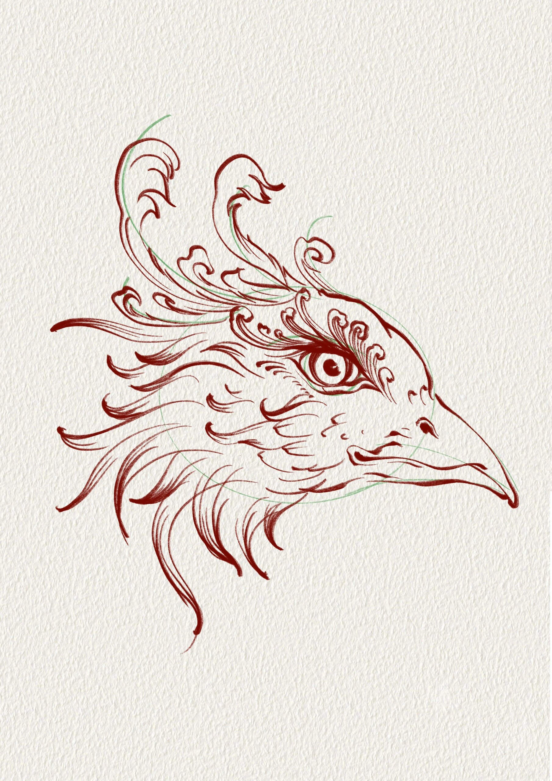 30秒学会画凤凰