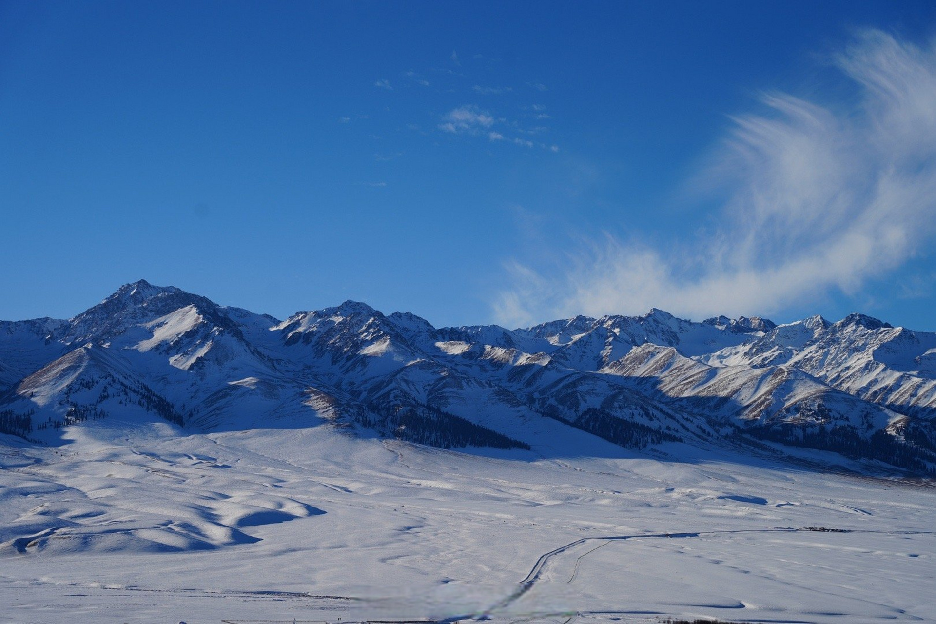 伊犁冰雪游#新疆的冬天是冰雪的世界.这次来到冬天的那拉提,乘坐在6.